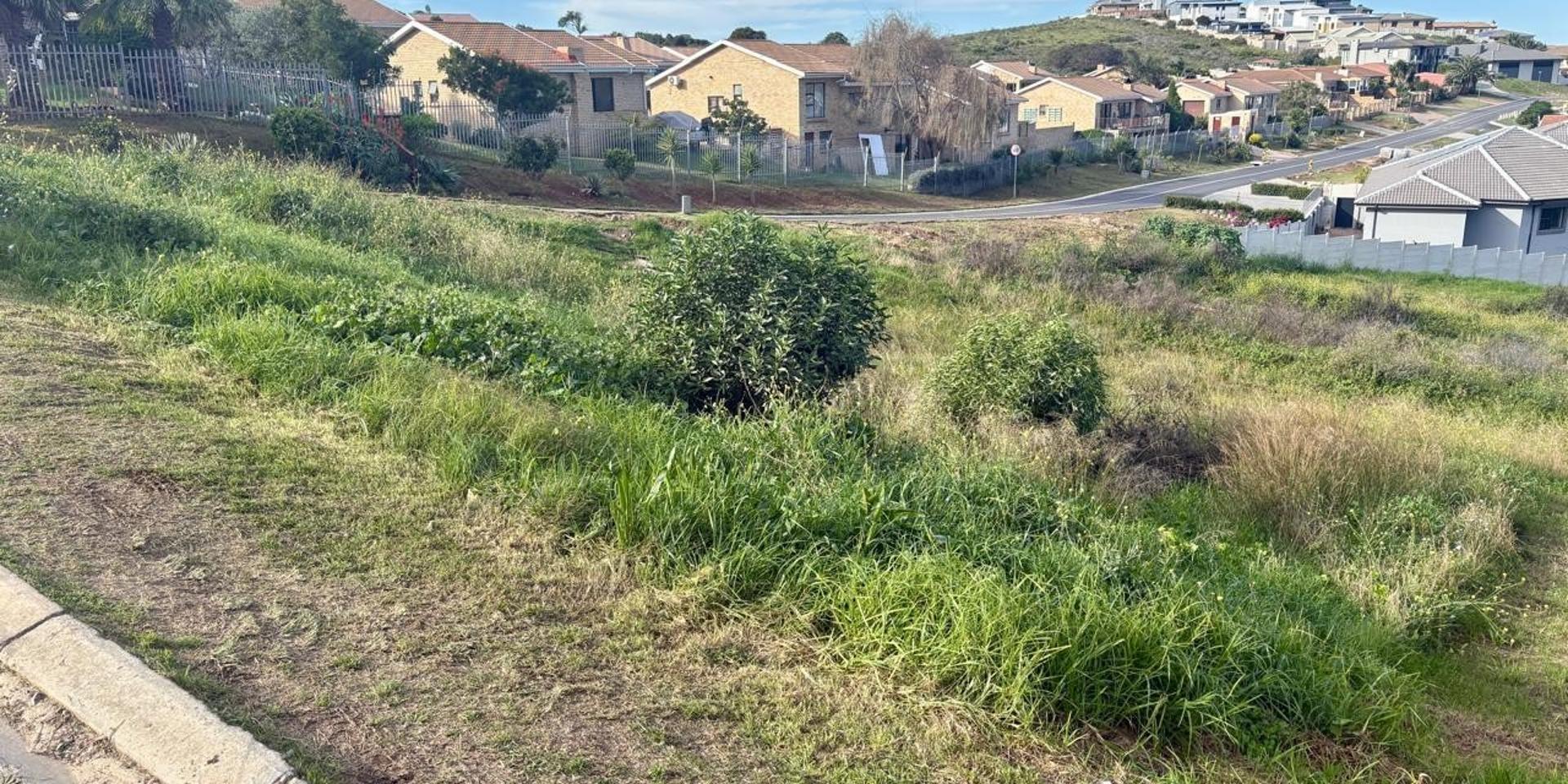 Image 4 of 6