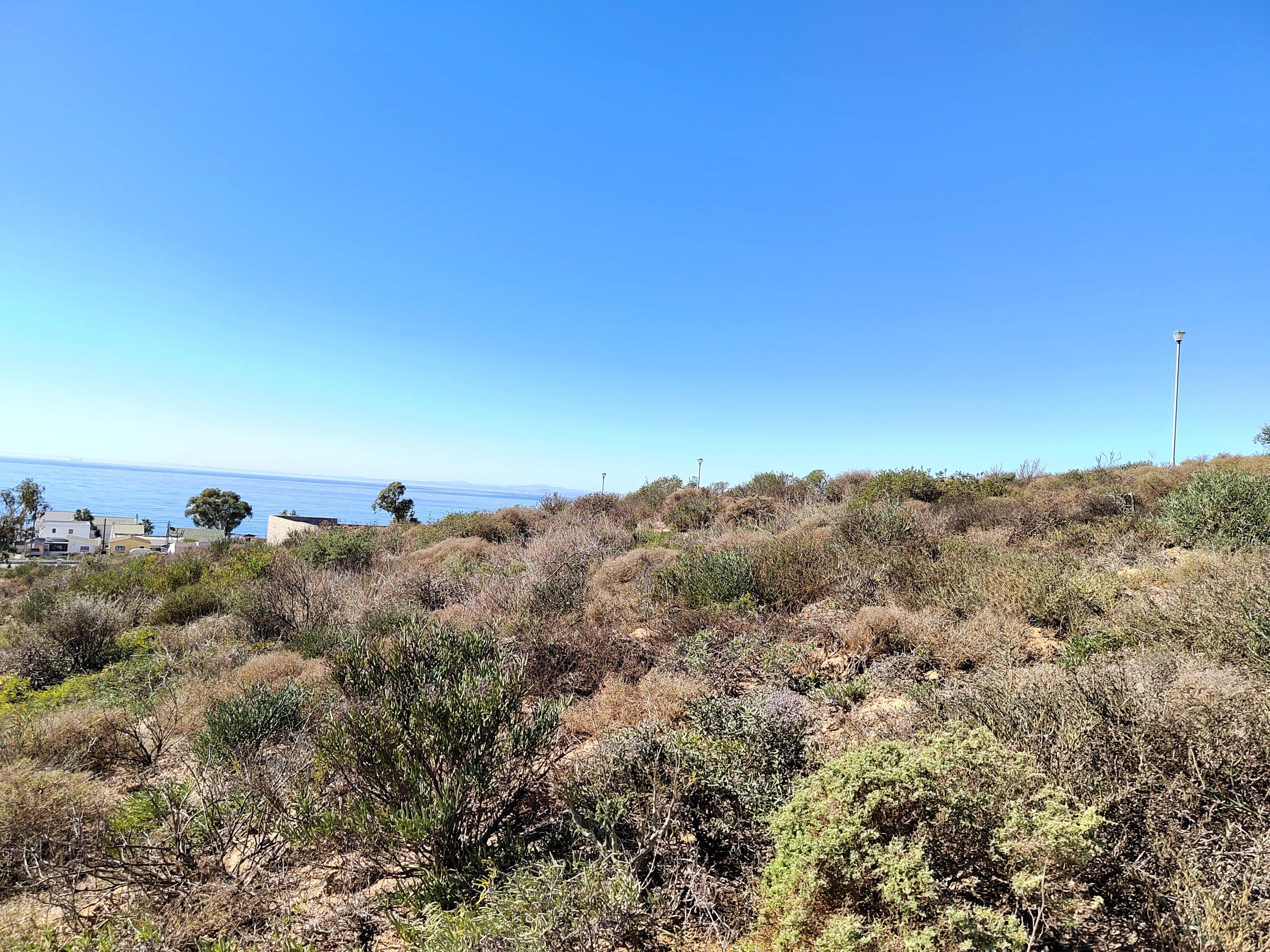 Image 3 of 6