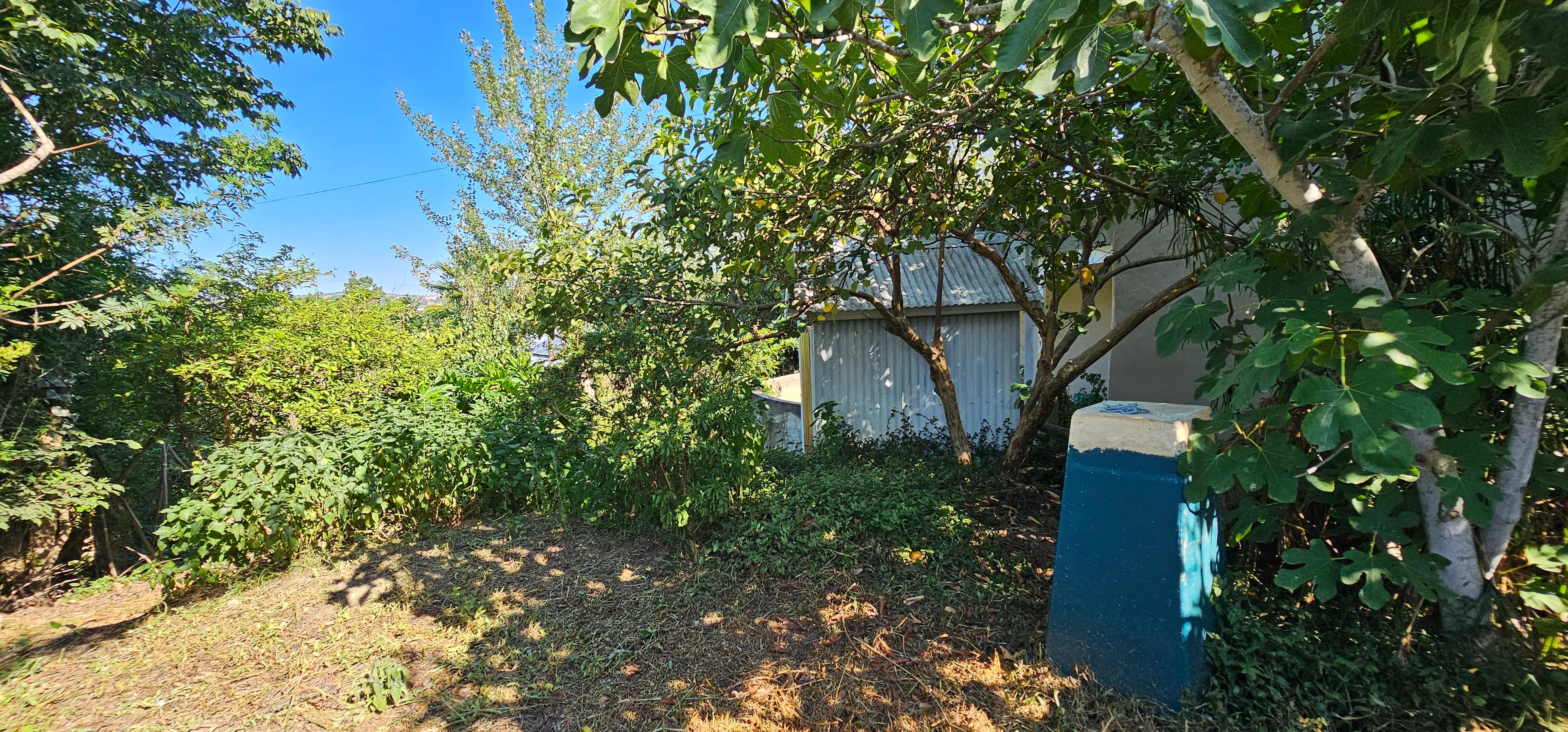 Image 32