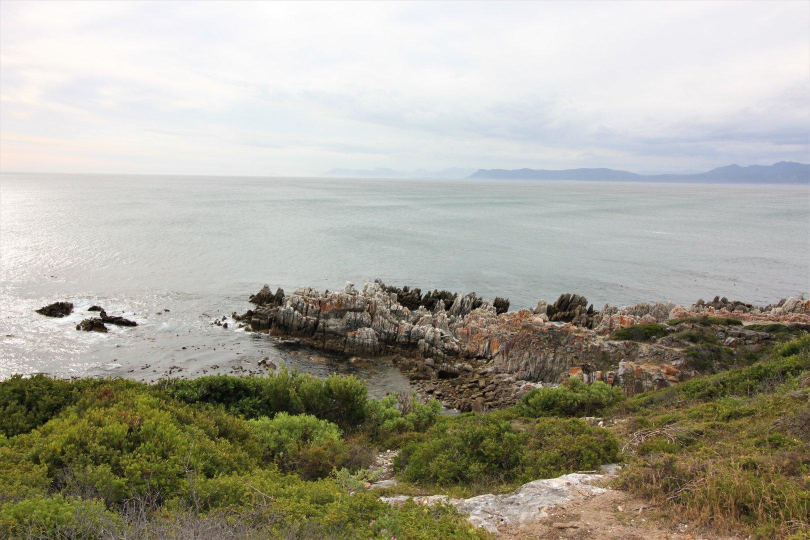 Image 14