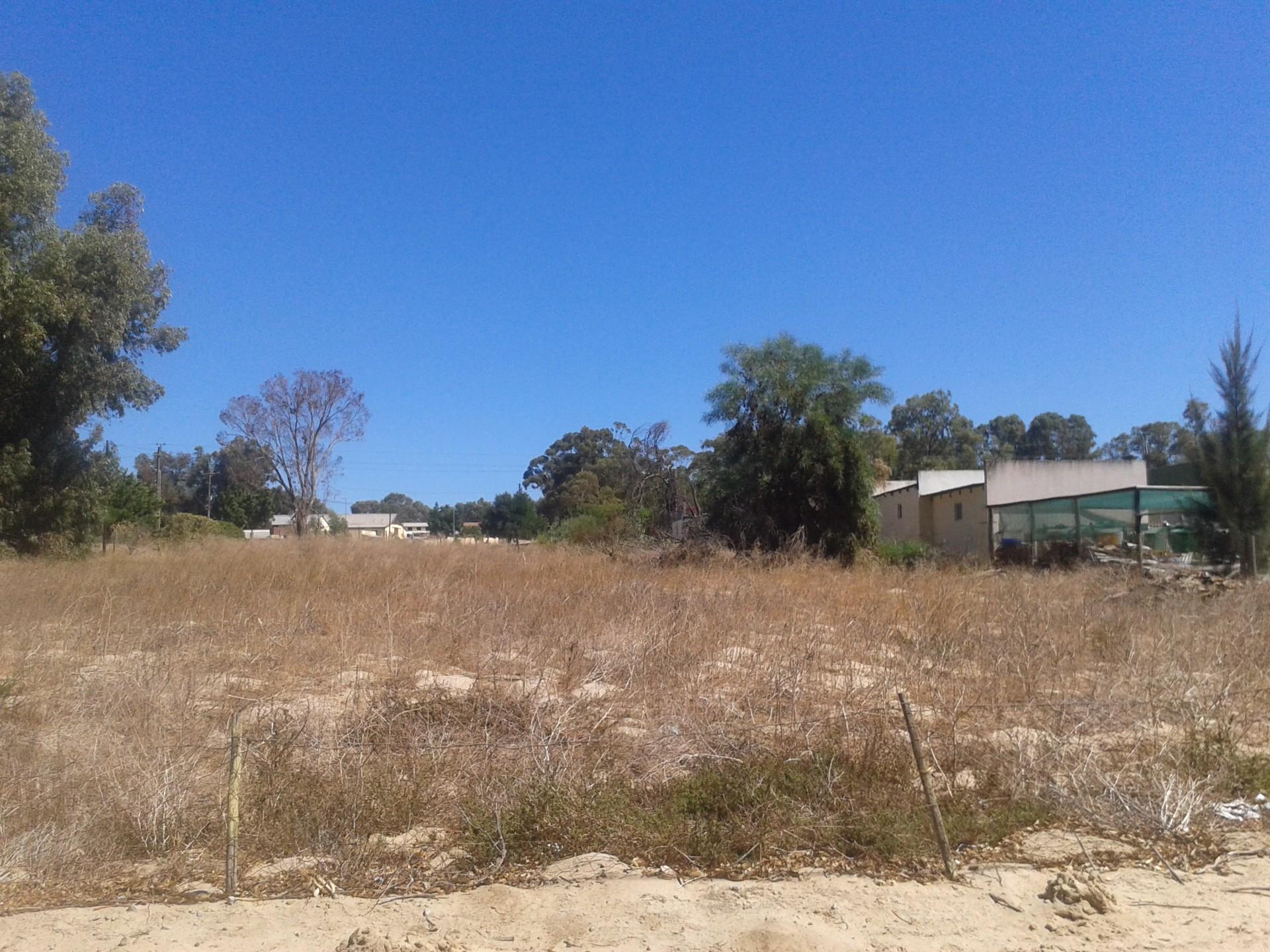 Image 11