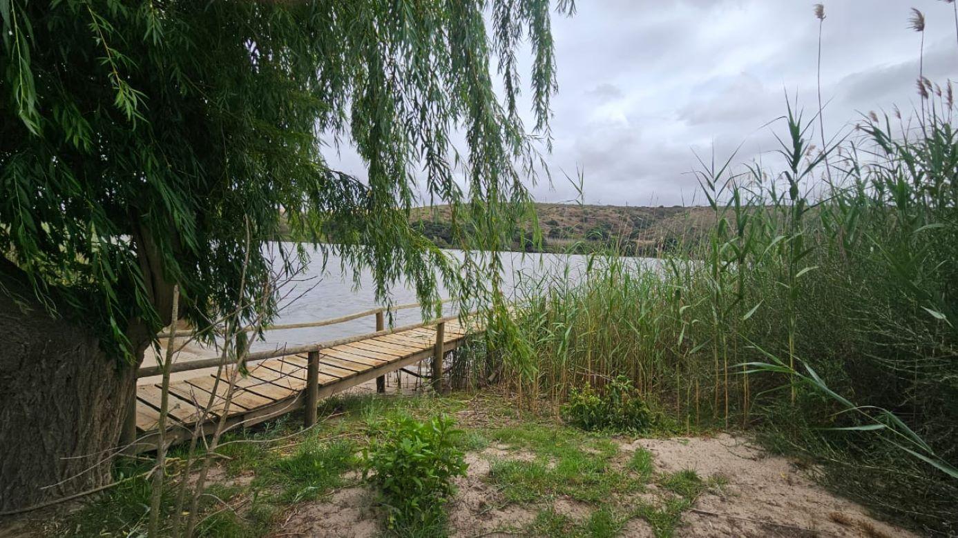 Image 10