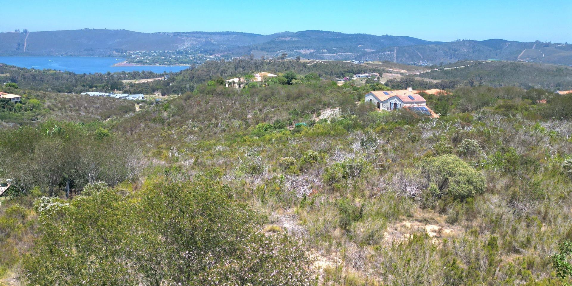 Image 2 of 6