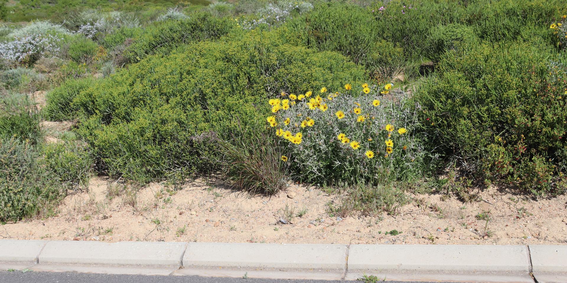 Image 5 of 6