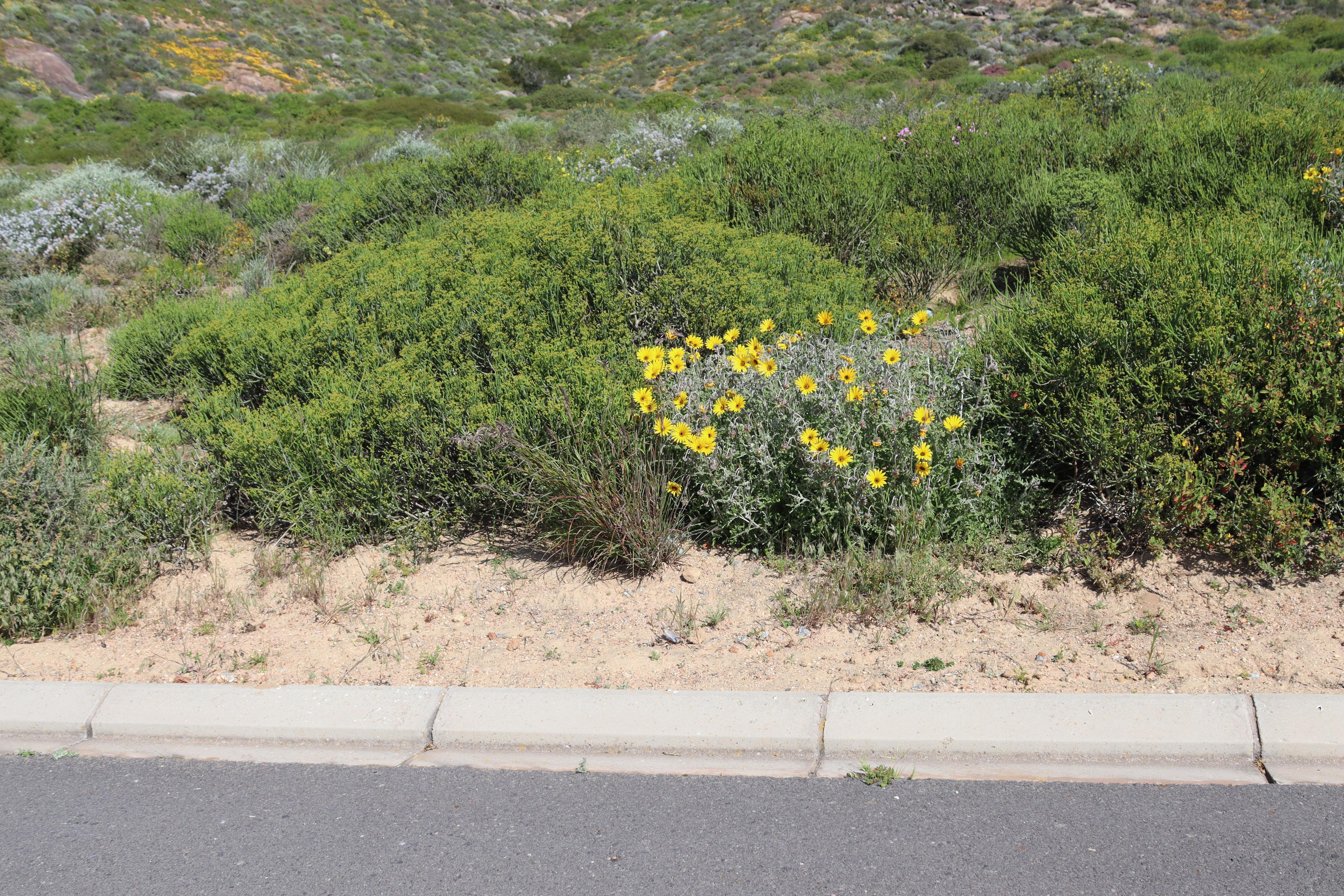 Image 5 of 6
