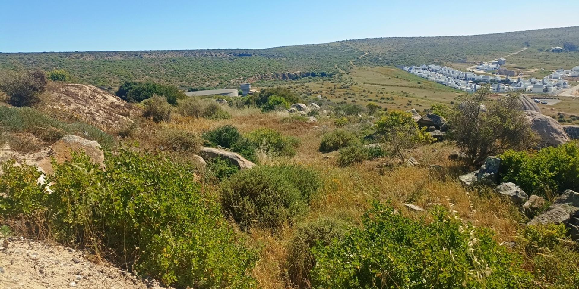 Image 4 of 6