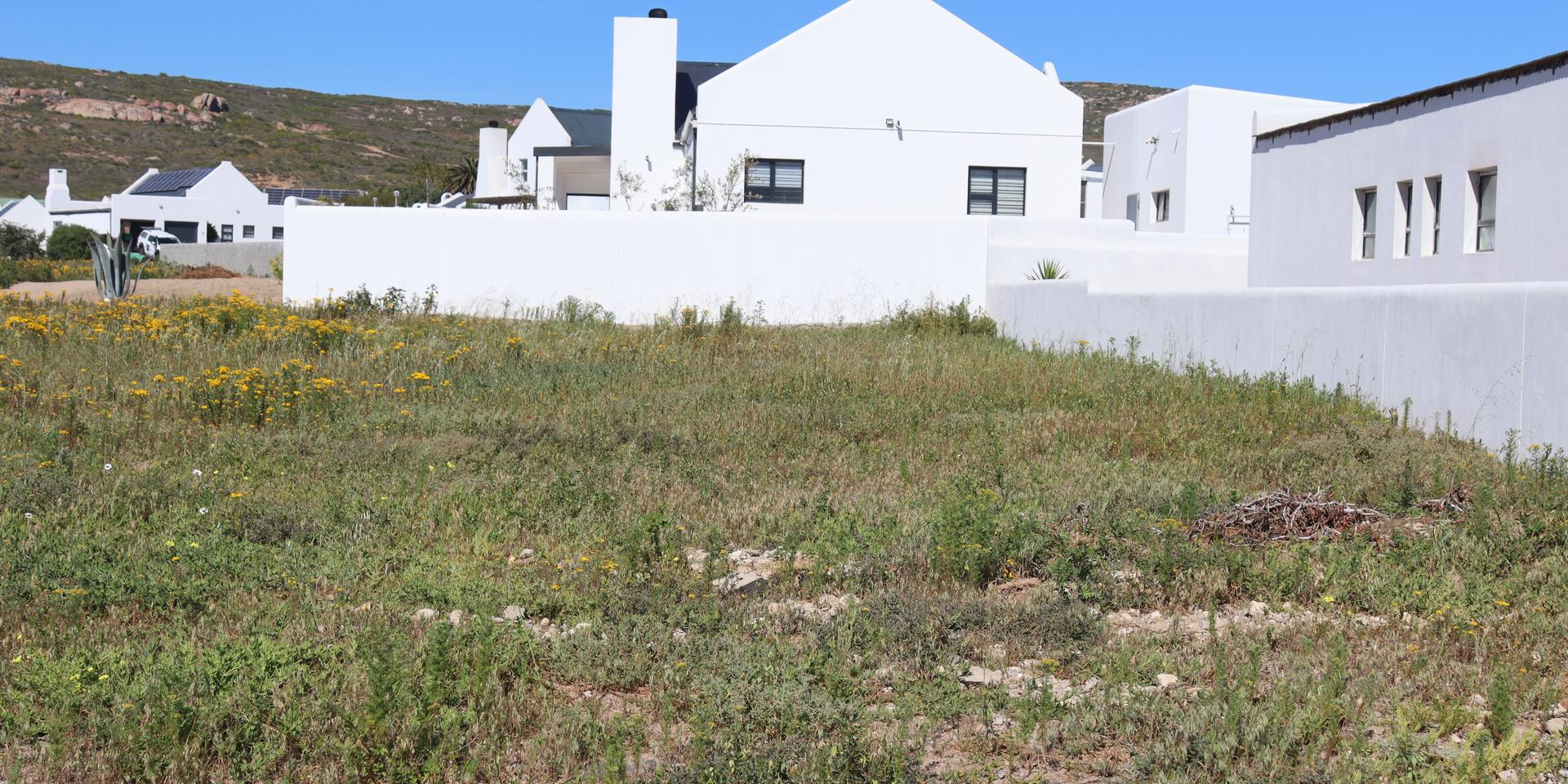 Image 4 of 6