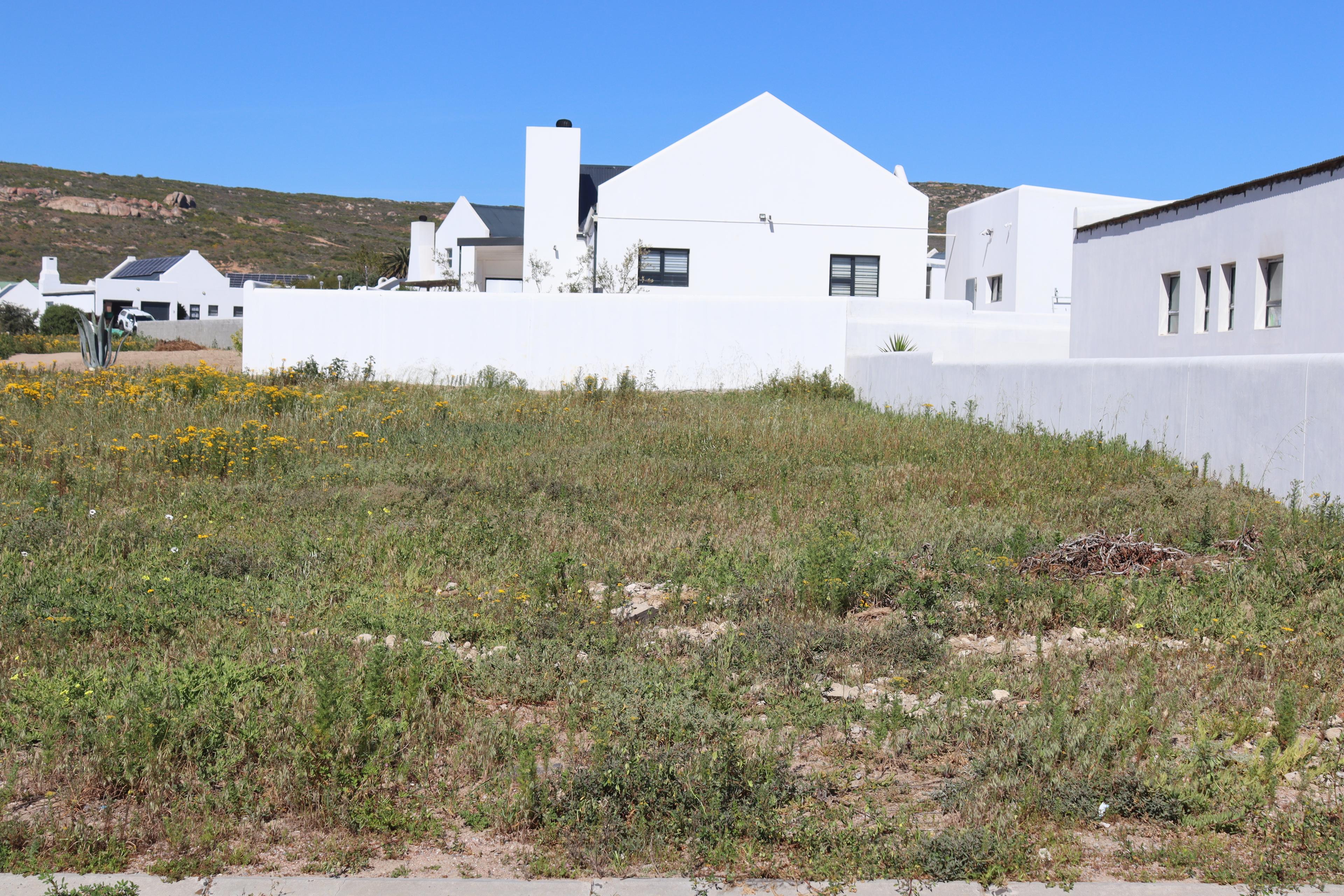 Image 4 of 6
