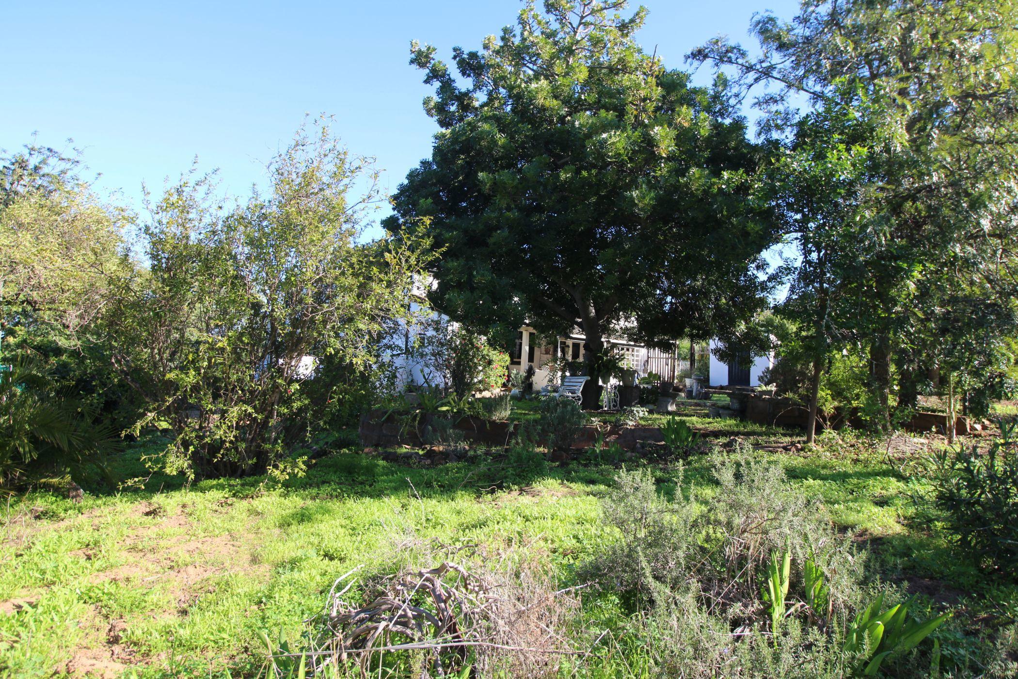 Image 33