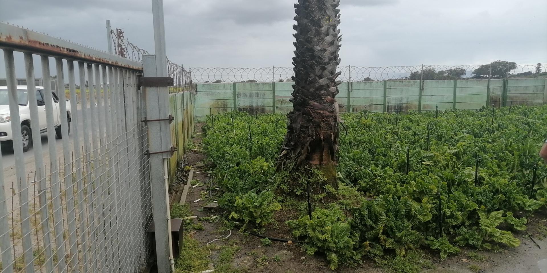 Image 4 of 6