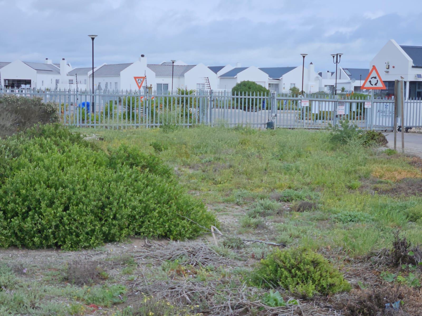 Image 6