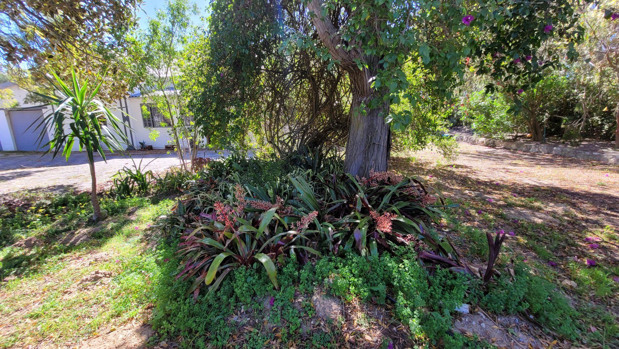 Image 20