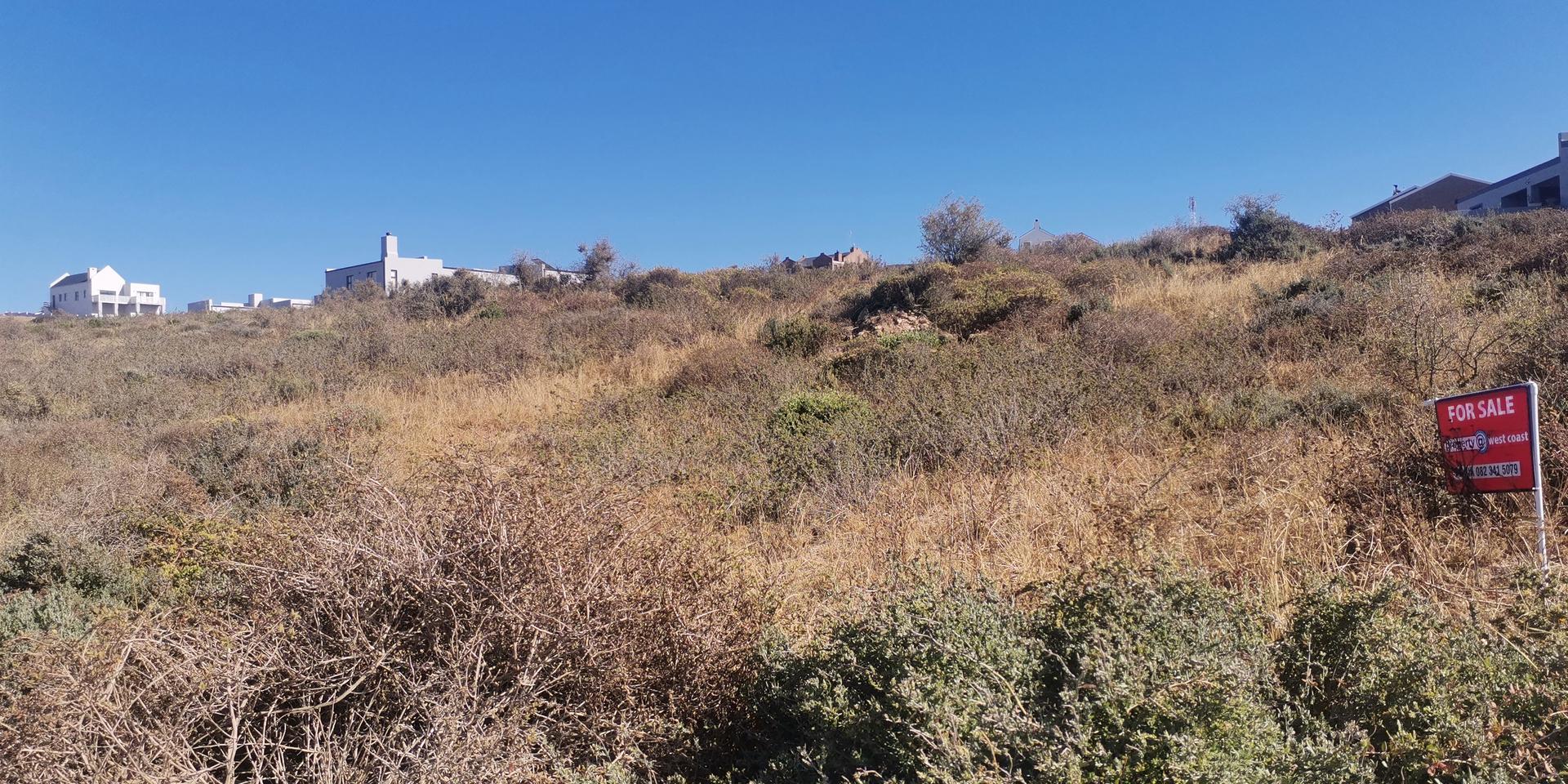 Image 2 of 6