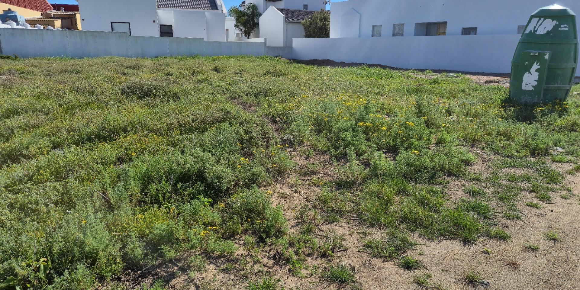 Image 4 of 6