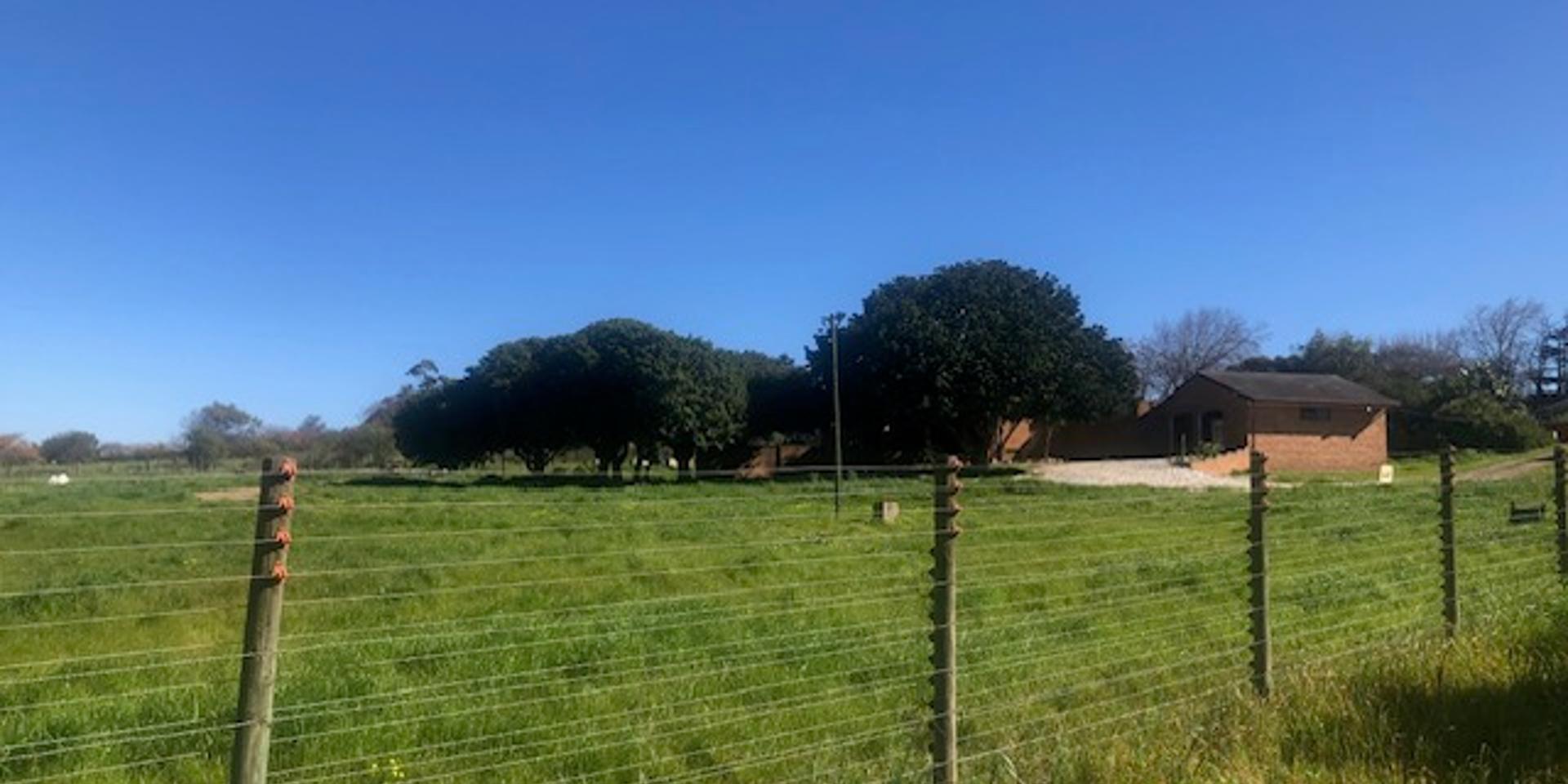 Image 4 of 6