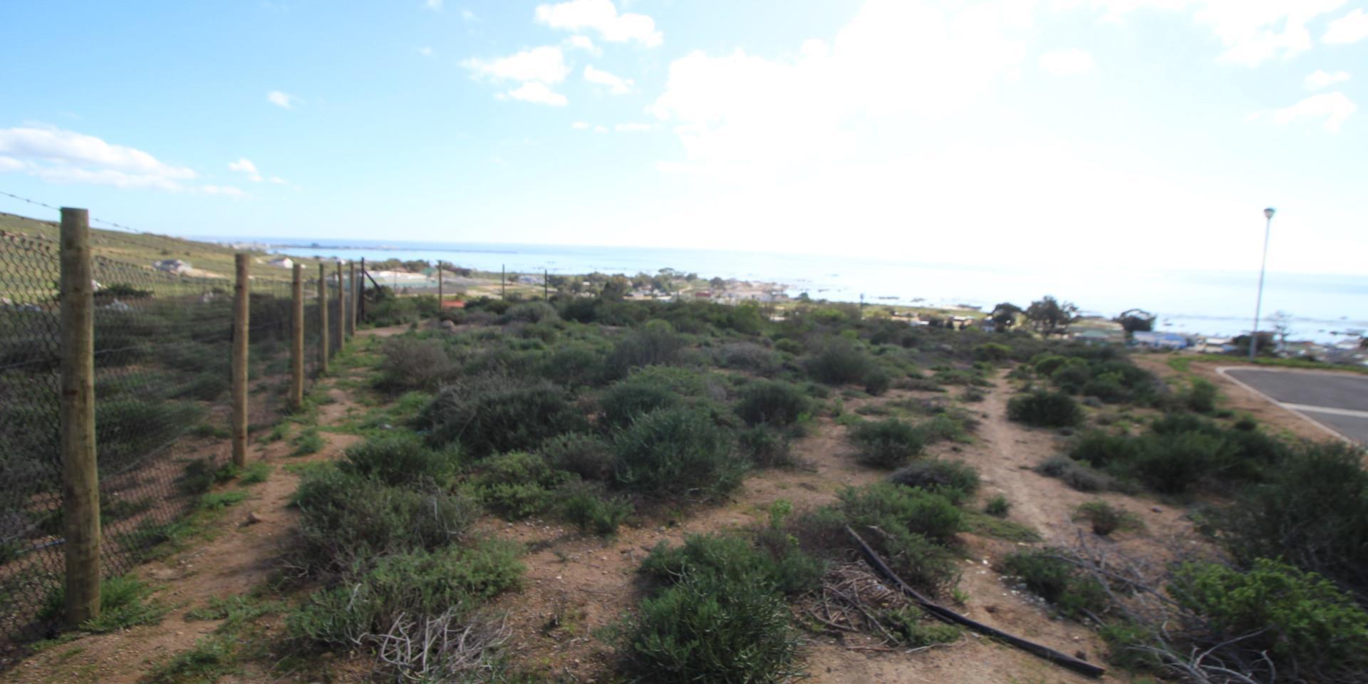 Image 4 of 6