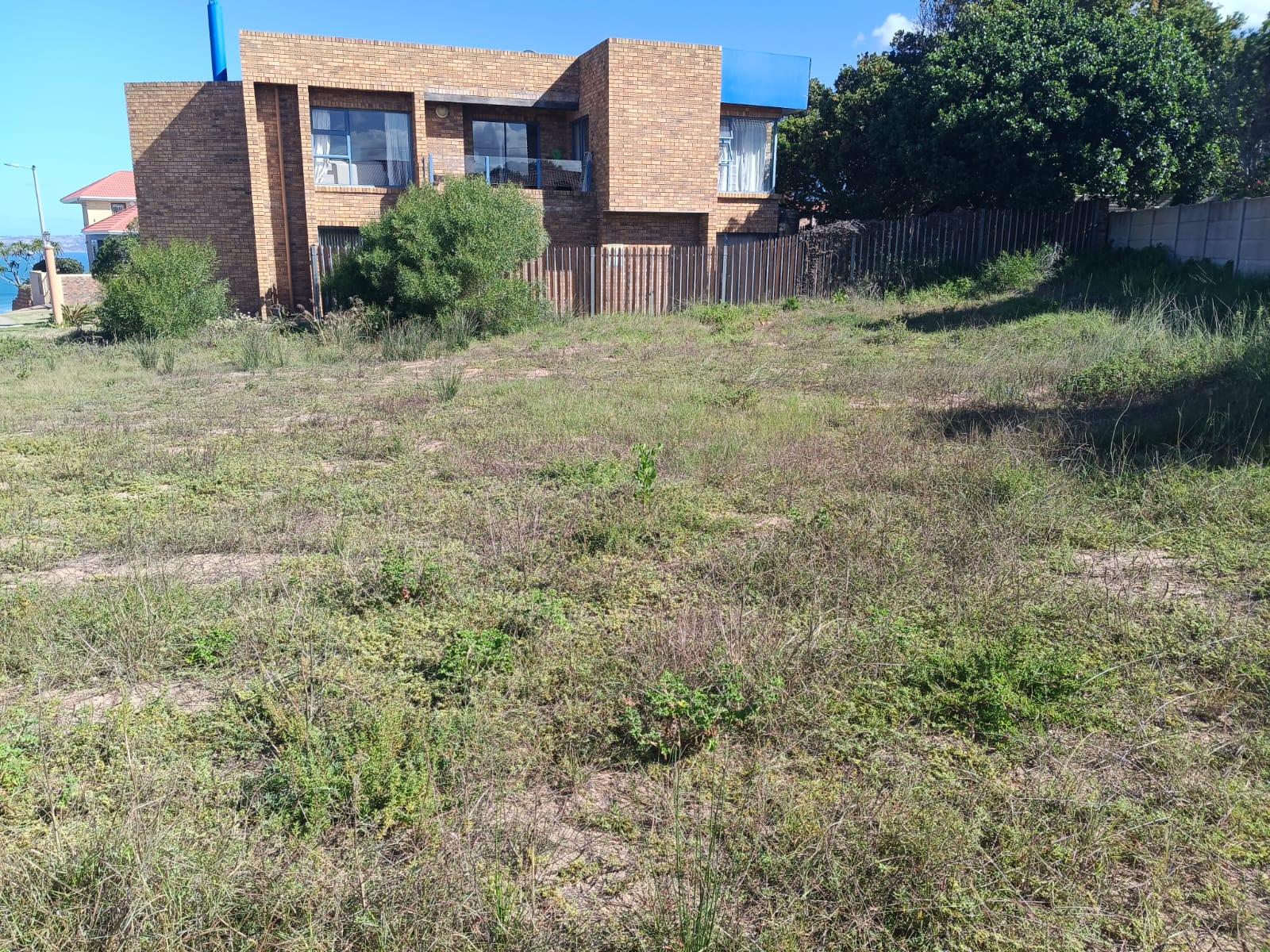 Image 14