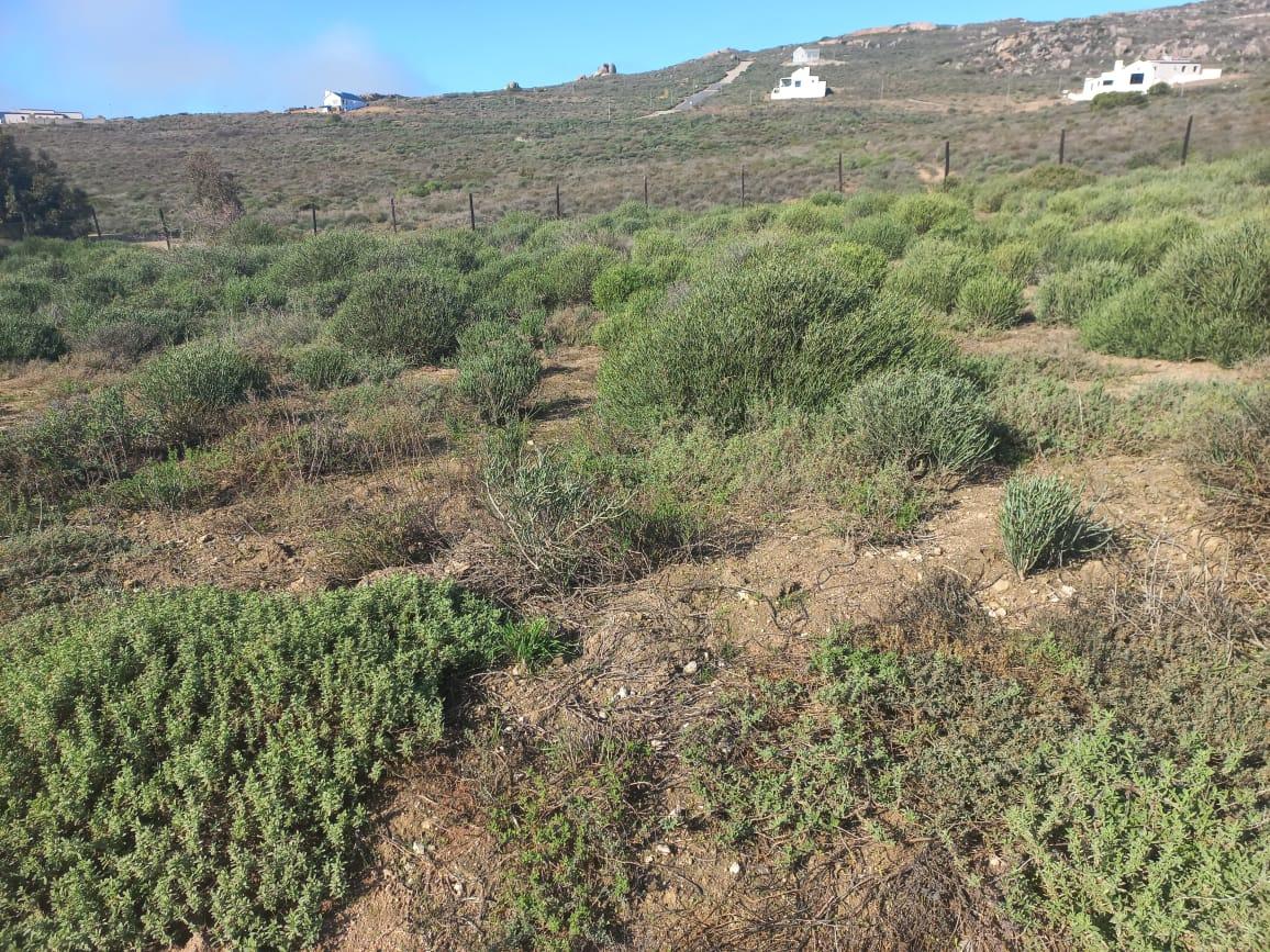 Image 4 of 6