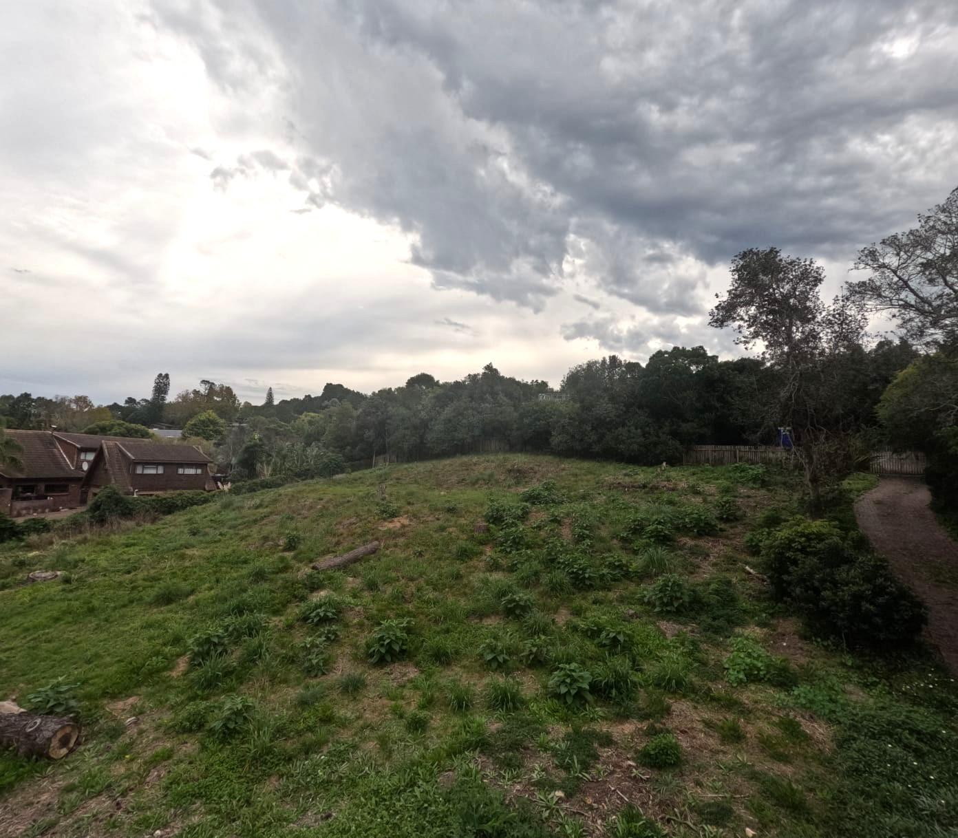 Image 6