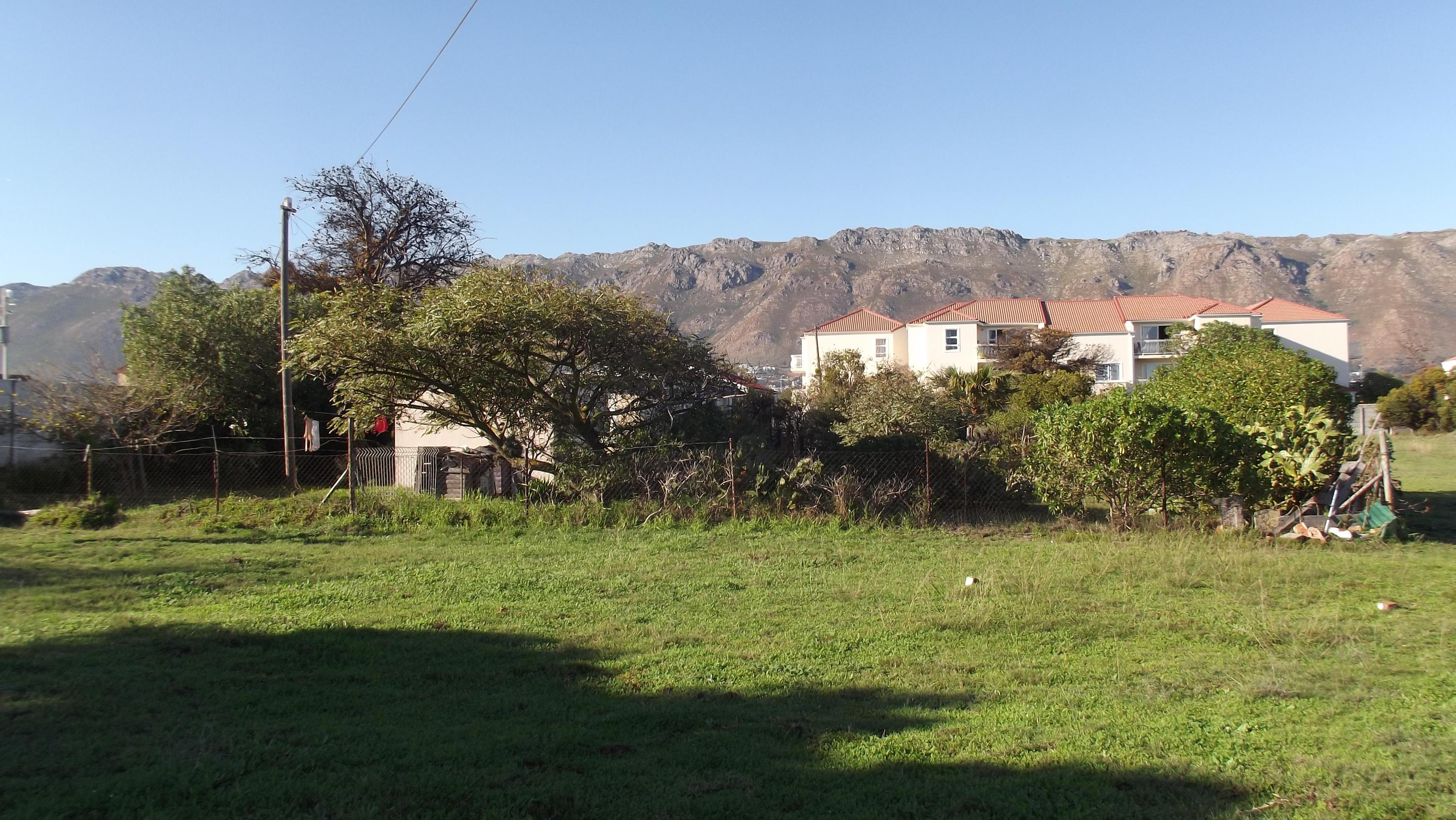 Image 10