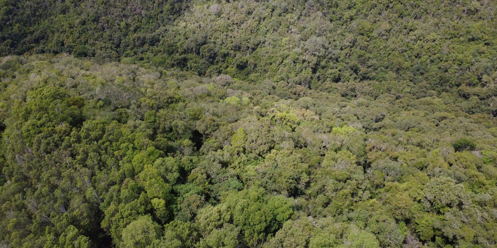 Image 4 of 6