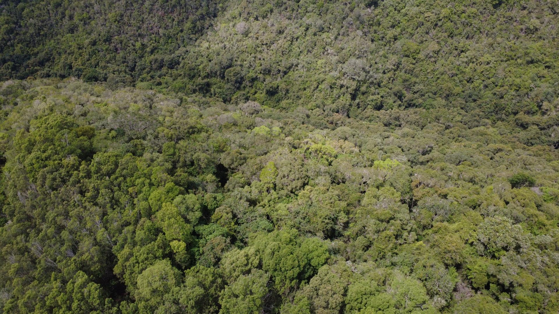 Image 4 of 6