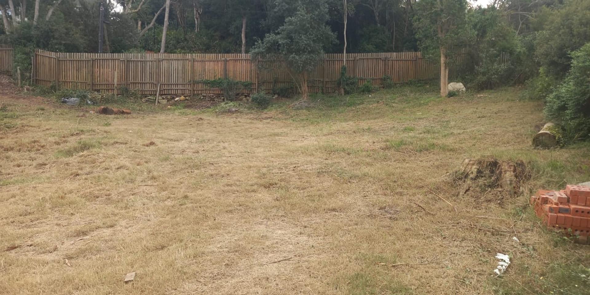 Image 2 of 6