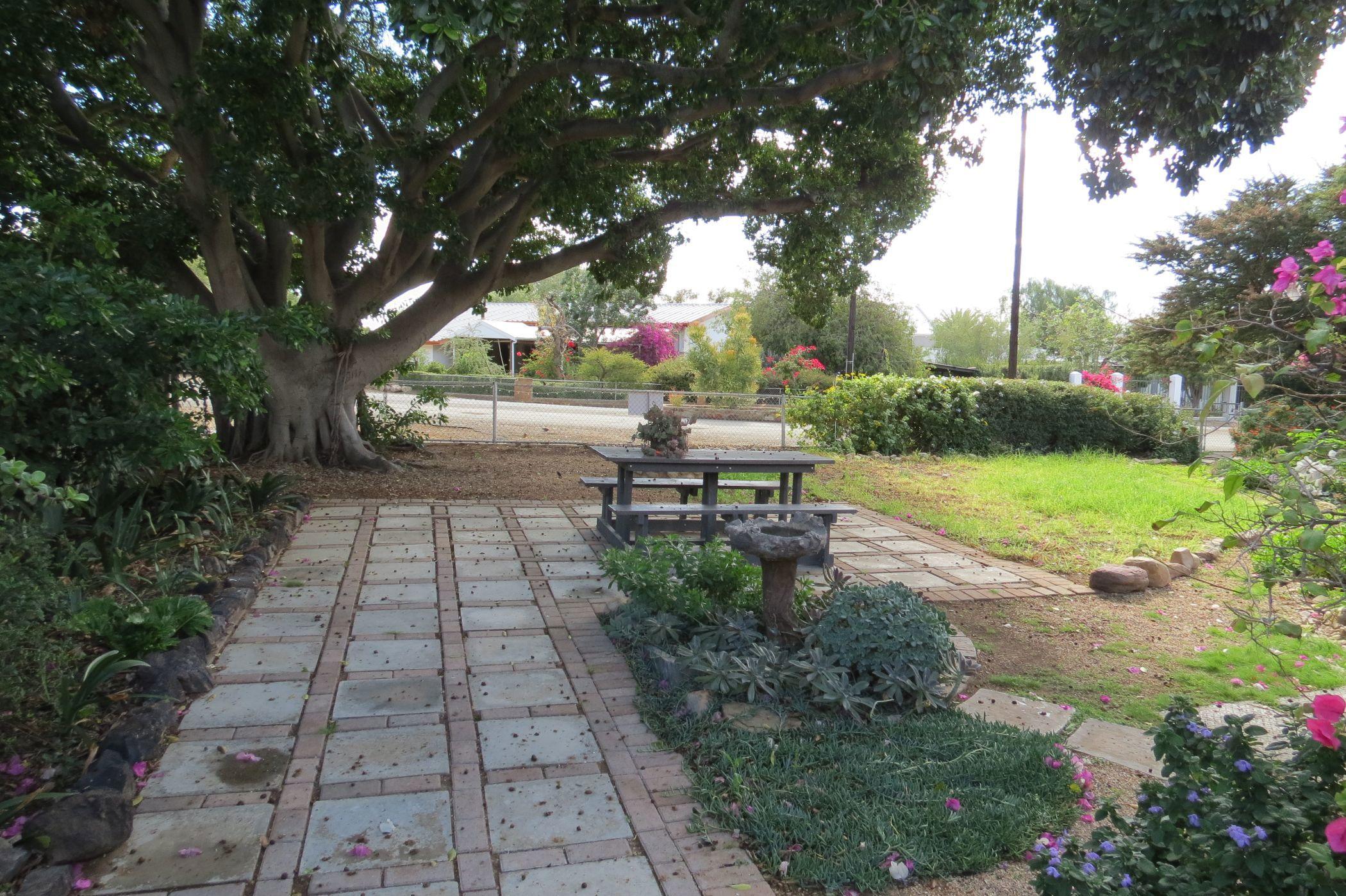 Image 39