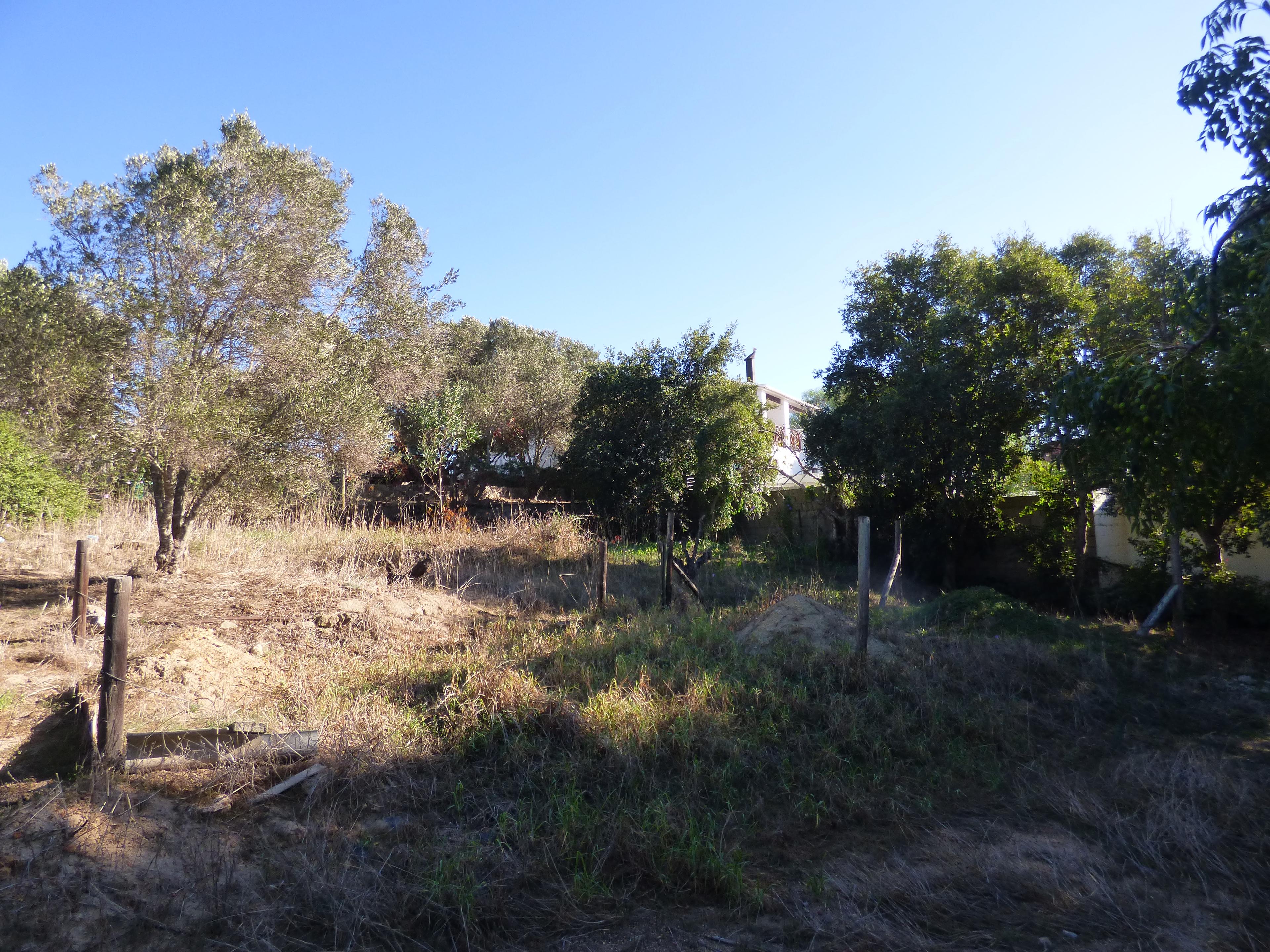 Image 5 of 6