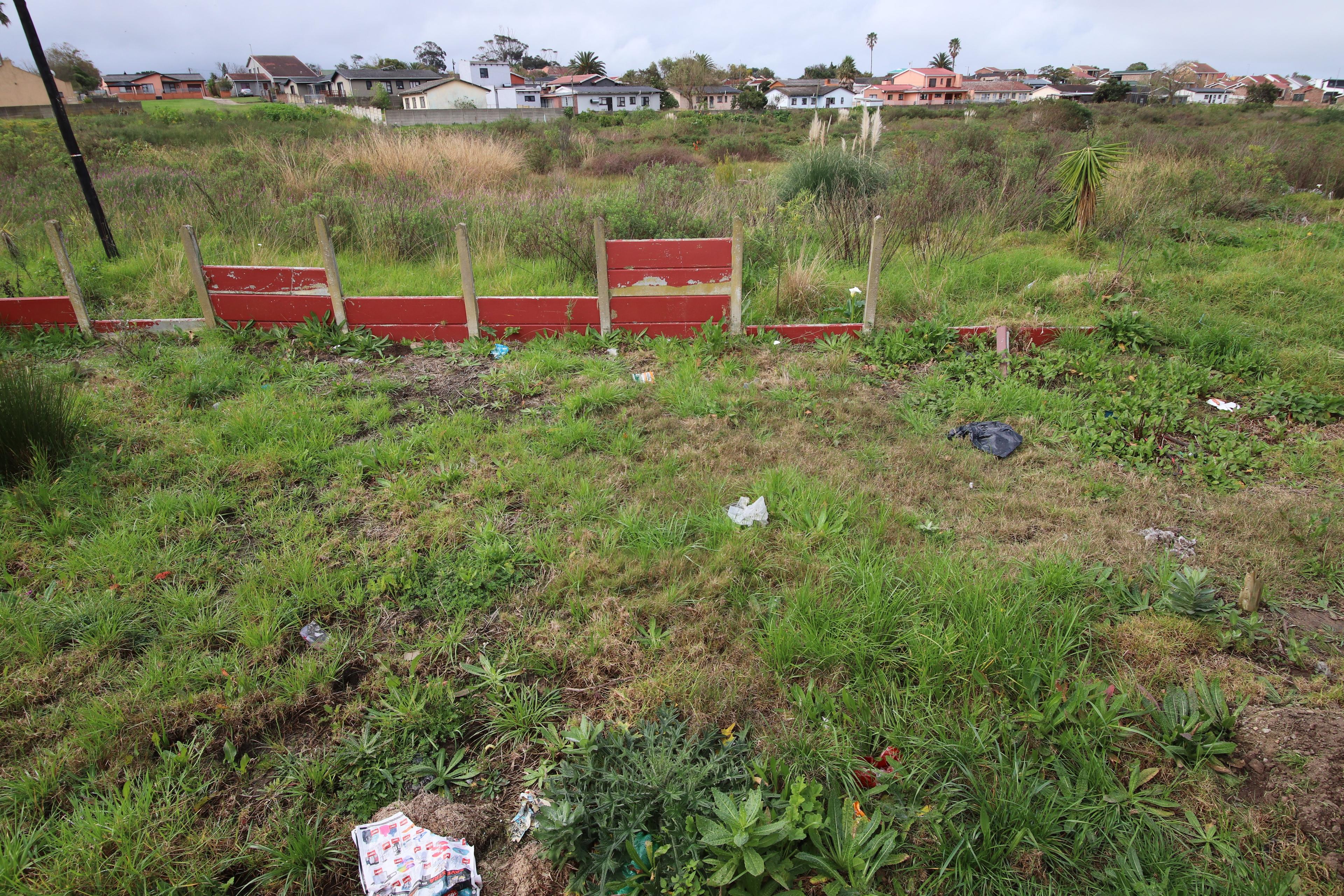 Image 6