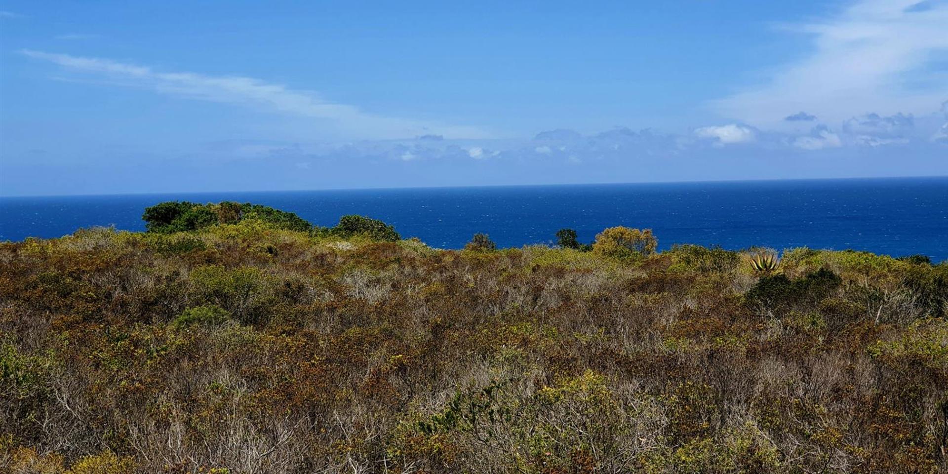 Image 4 of 6