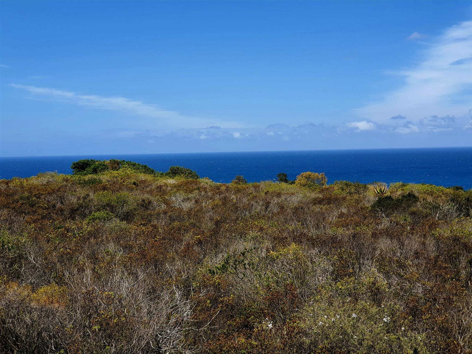 Image 4 of 6