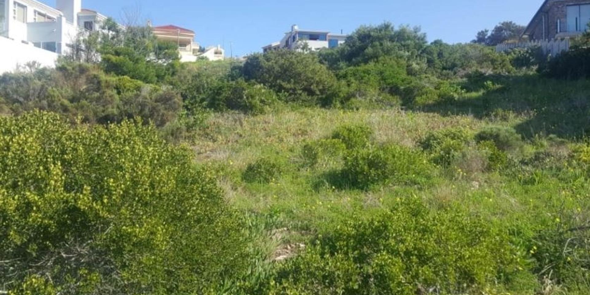 Image 5 of 6