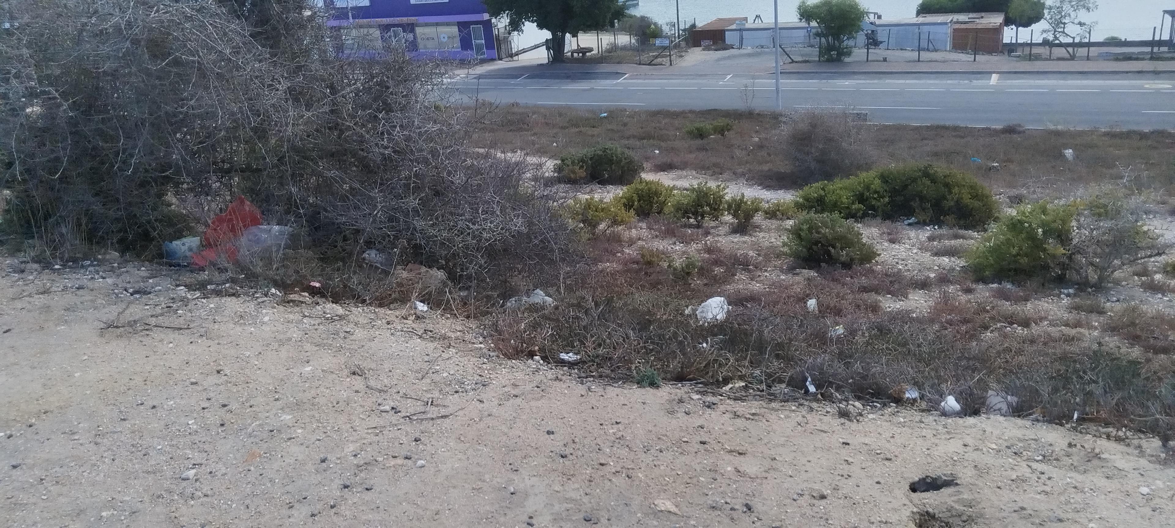 Image 5 of 6