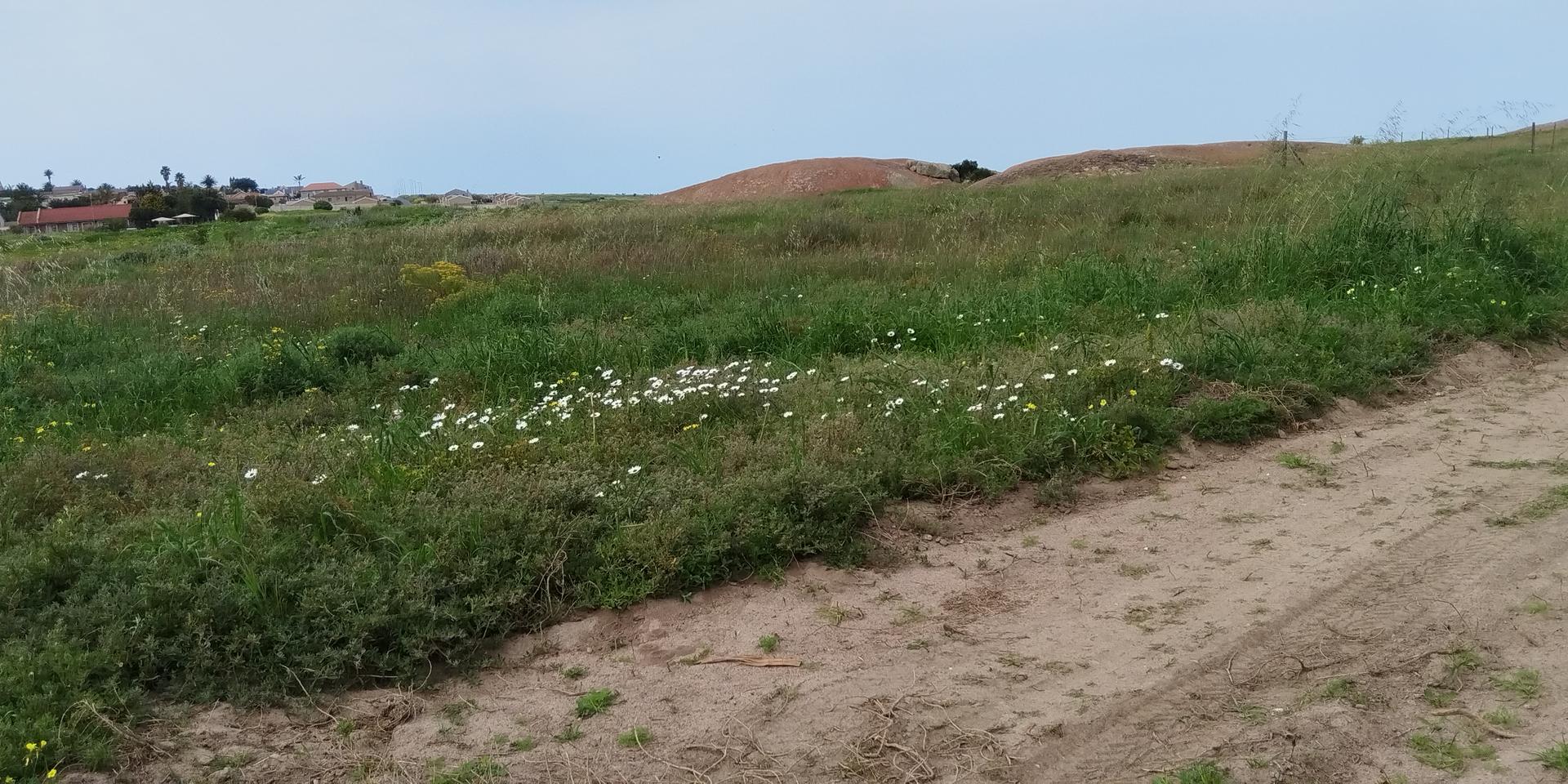 Image 5 of 6