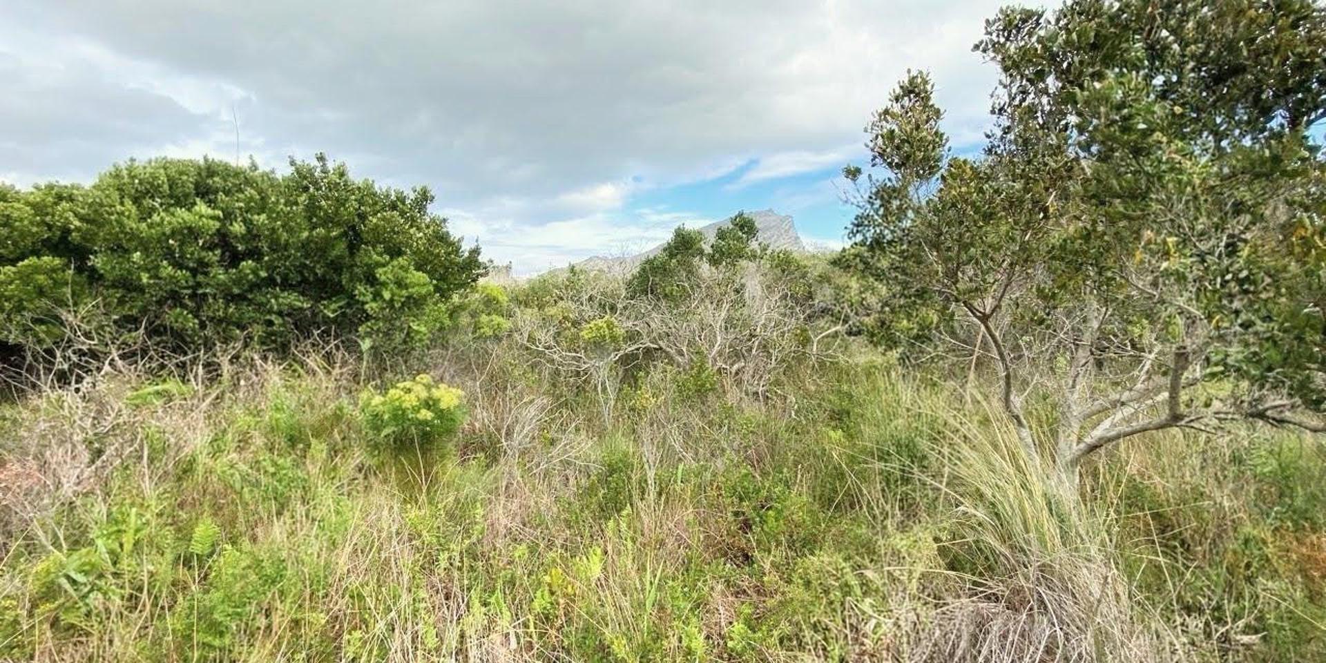Image 4 of 6