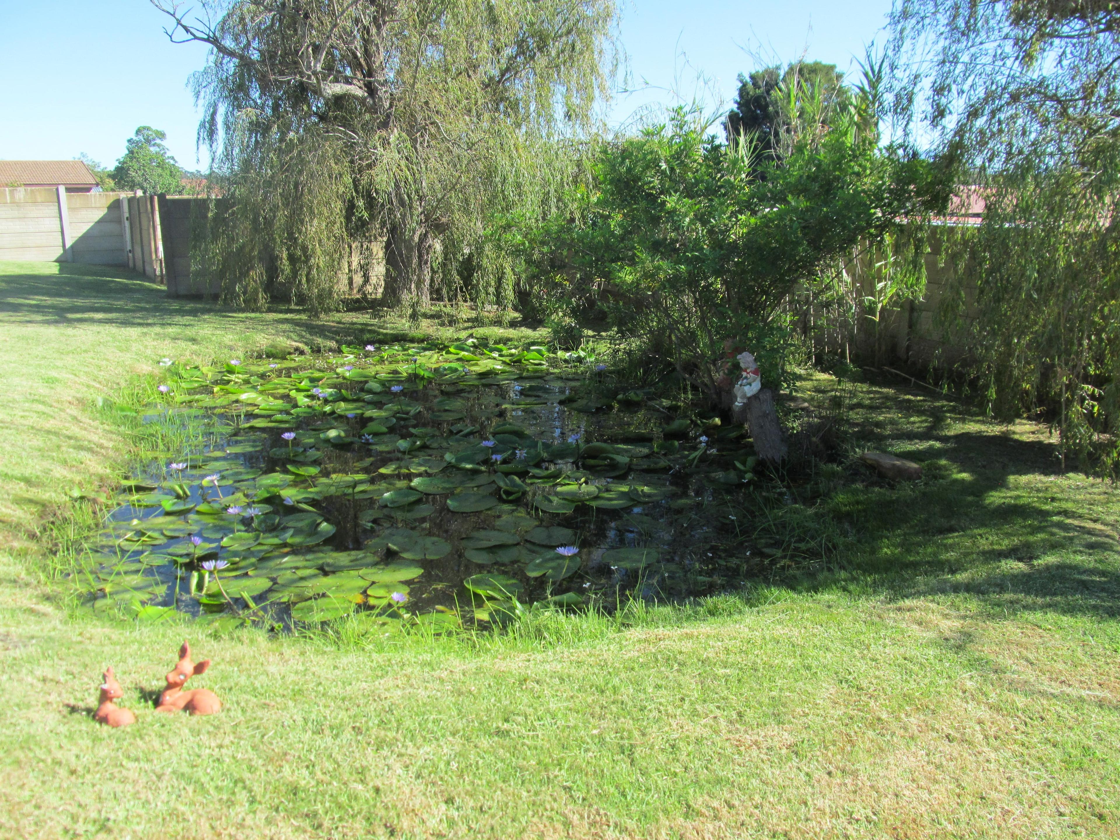 Image 36