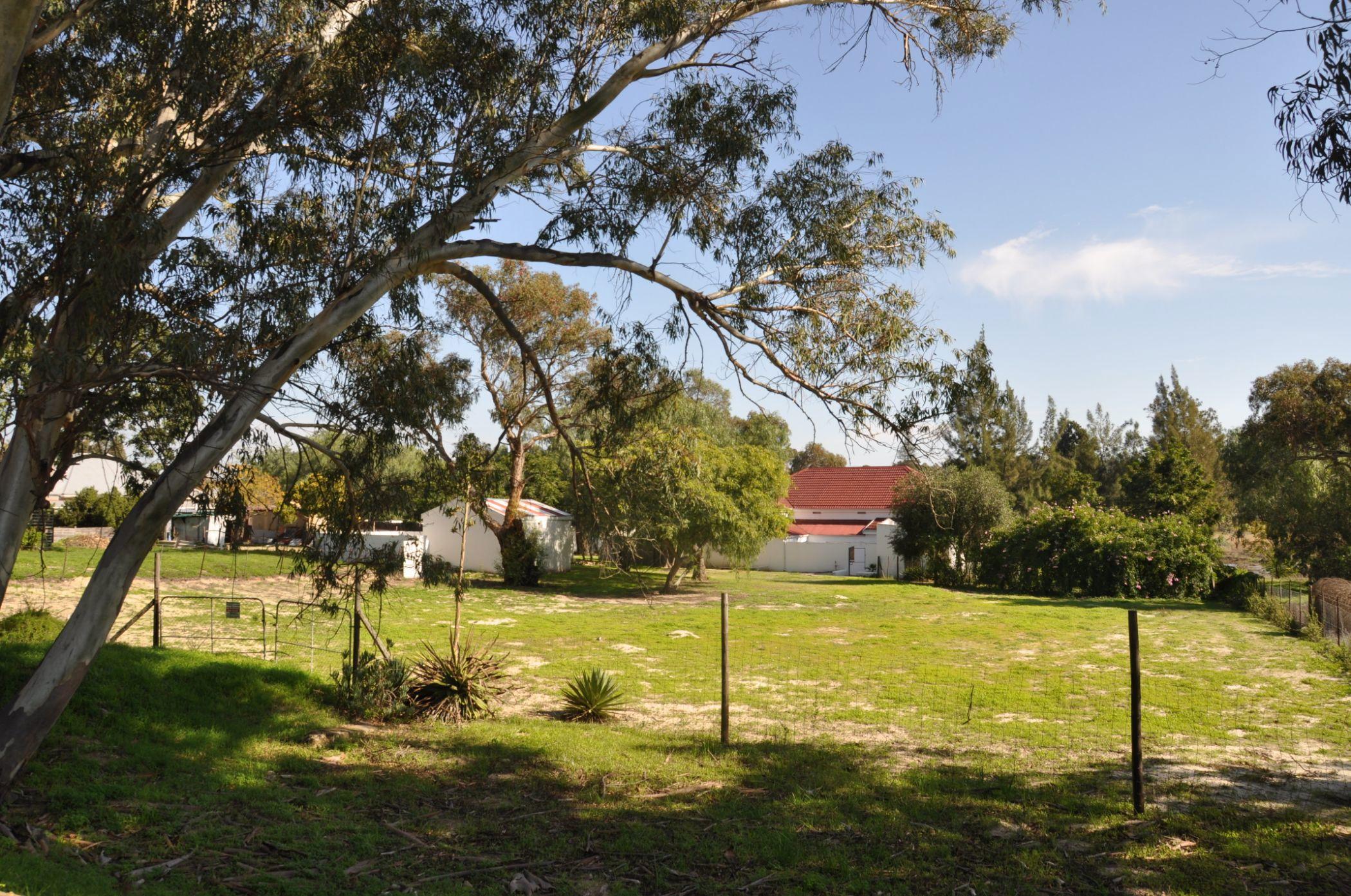 Image 35