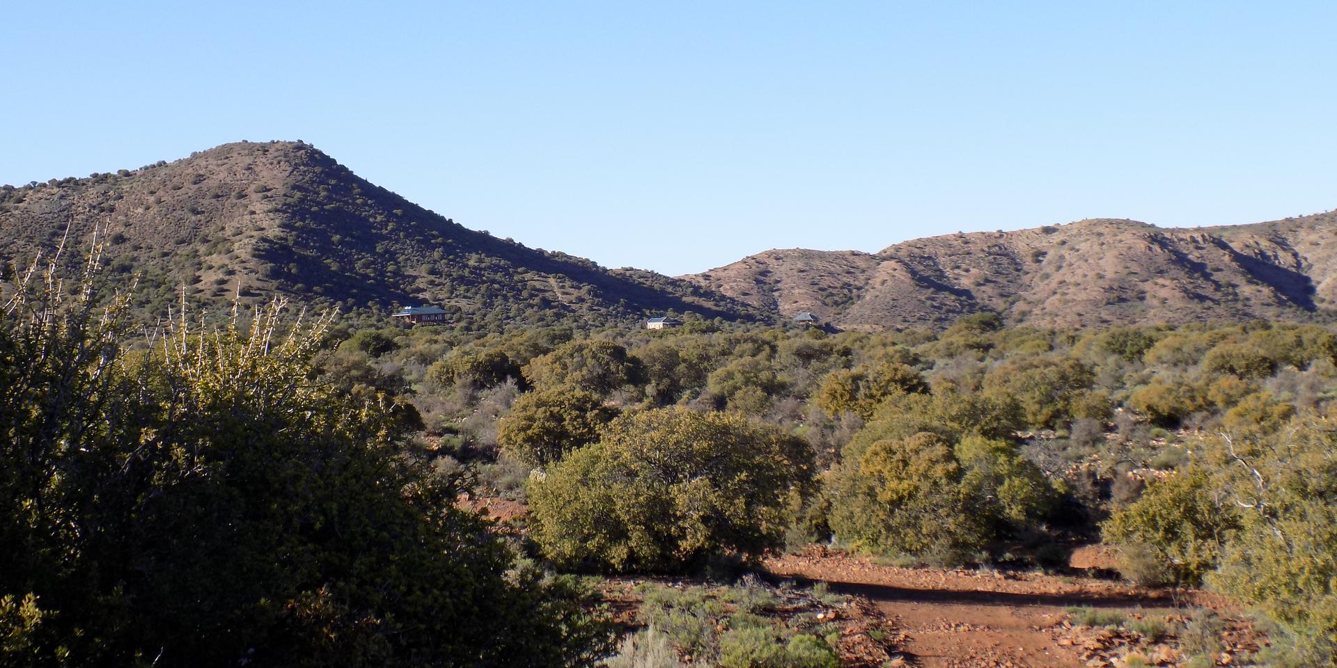 Image 4 of 6