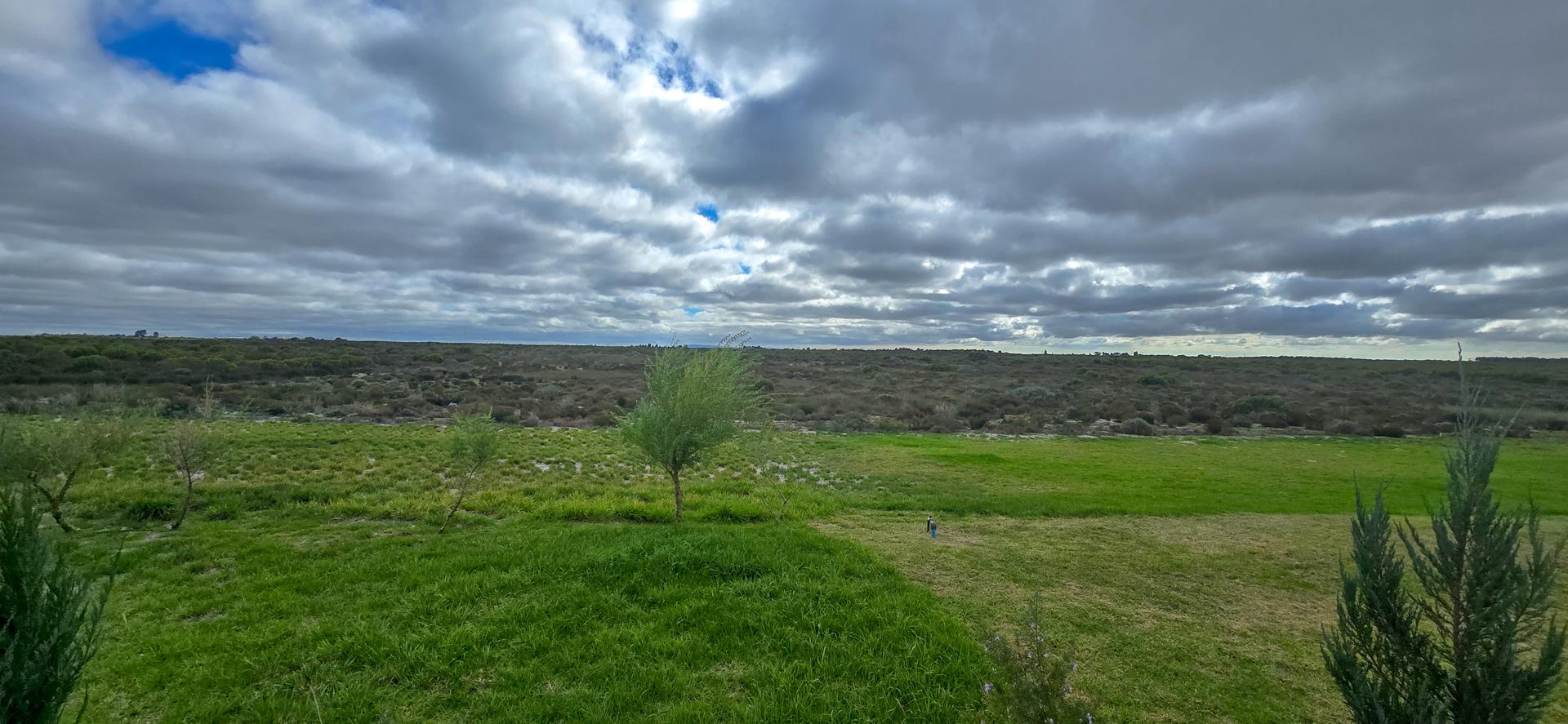 Image 36