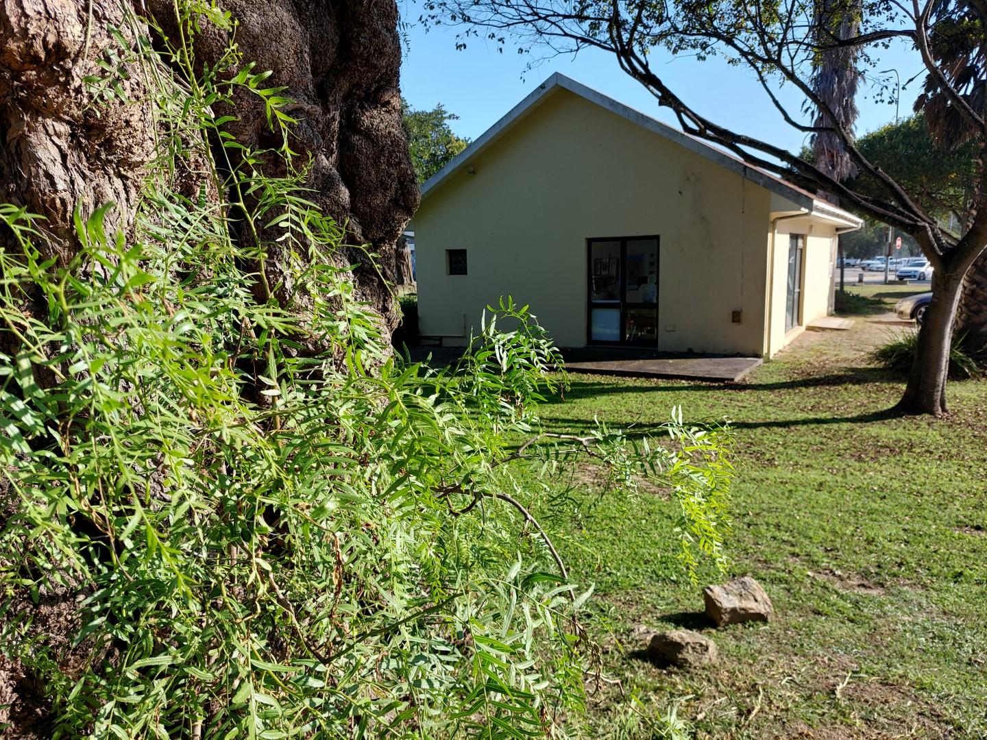Image 21