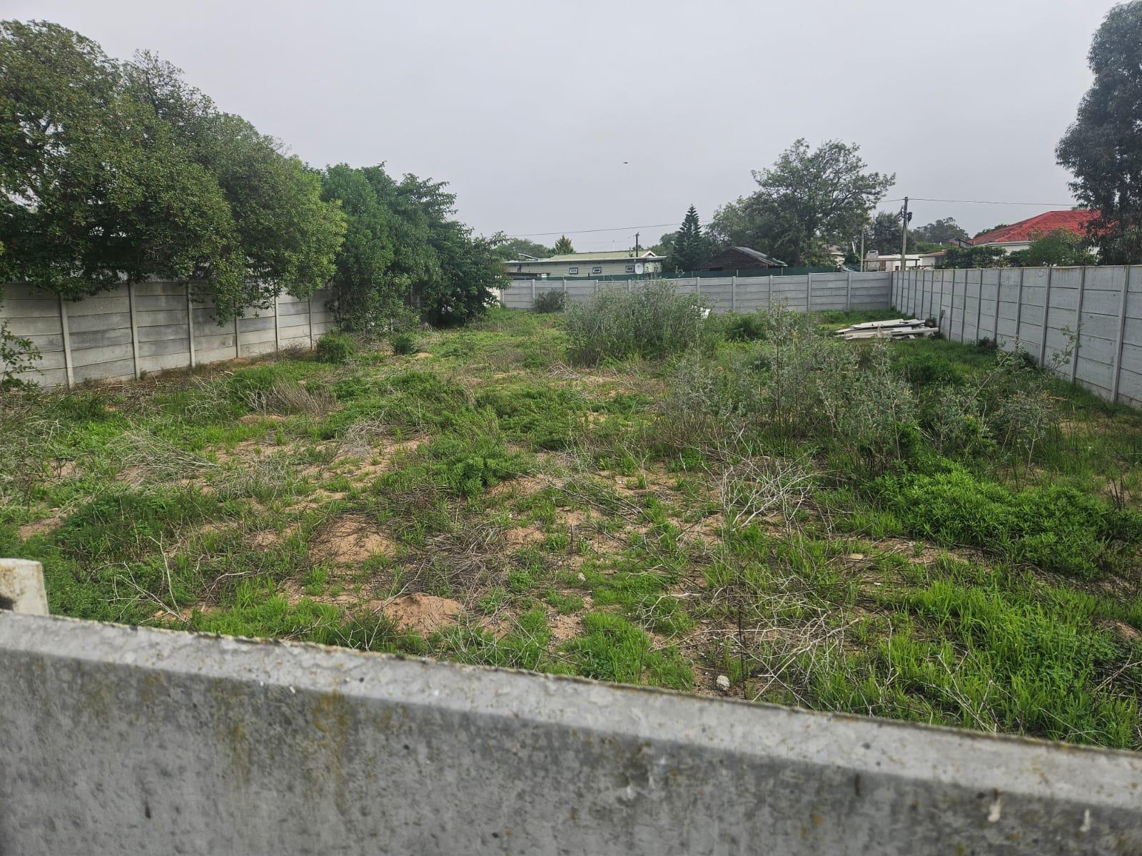 Image 5 of 6