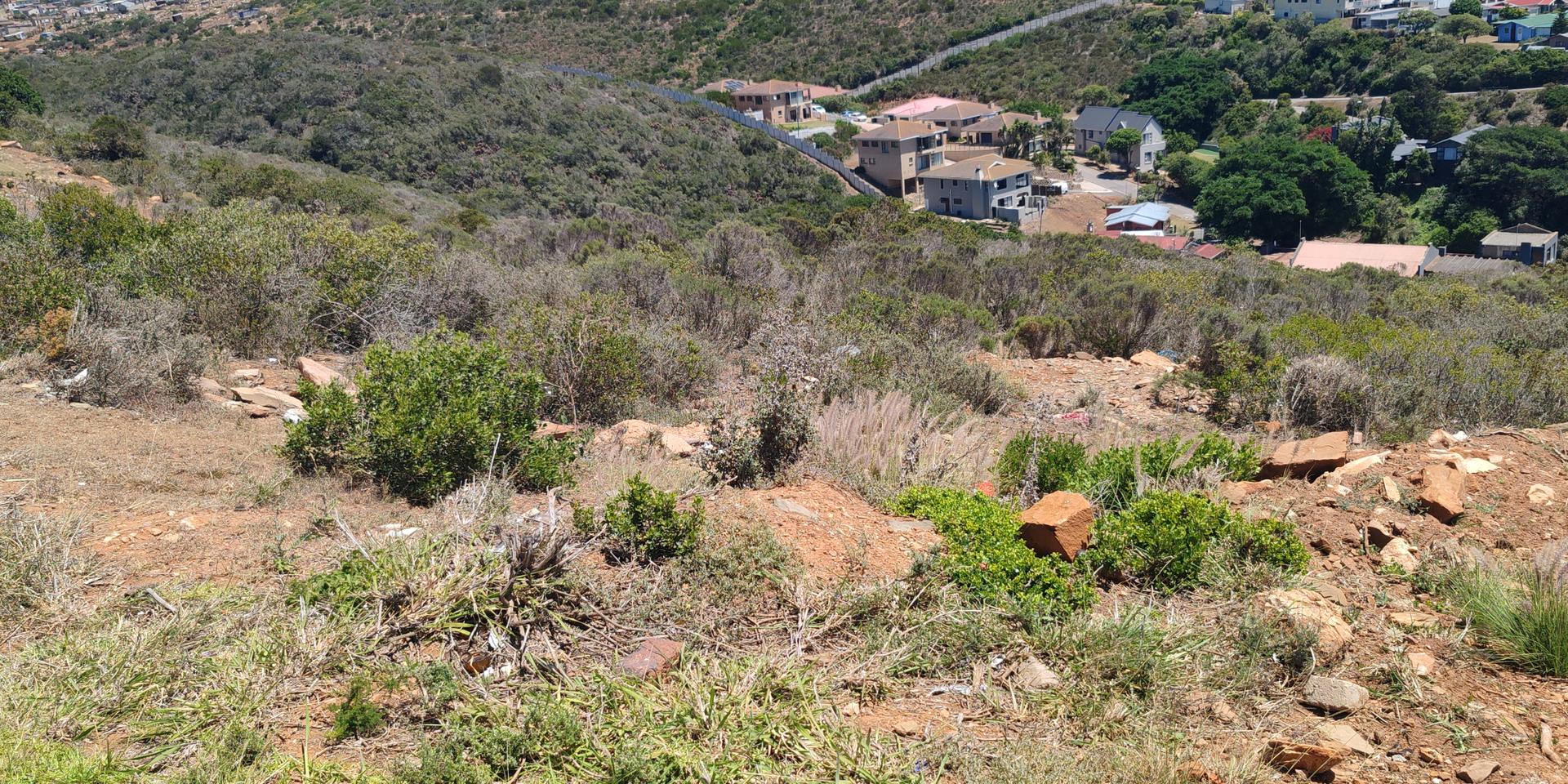 Image 2 of 6