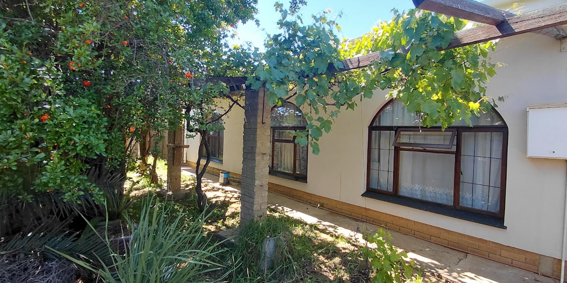Image 3 of 6