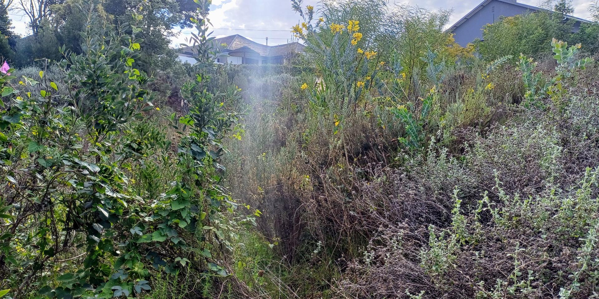 Image 4 of 6