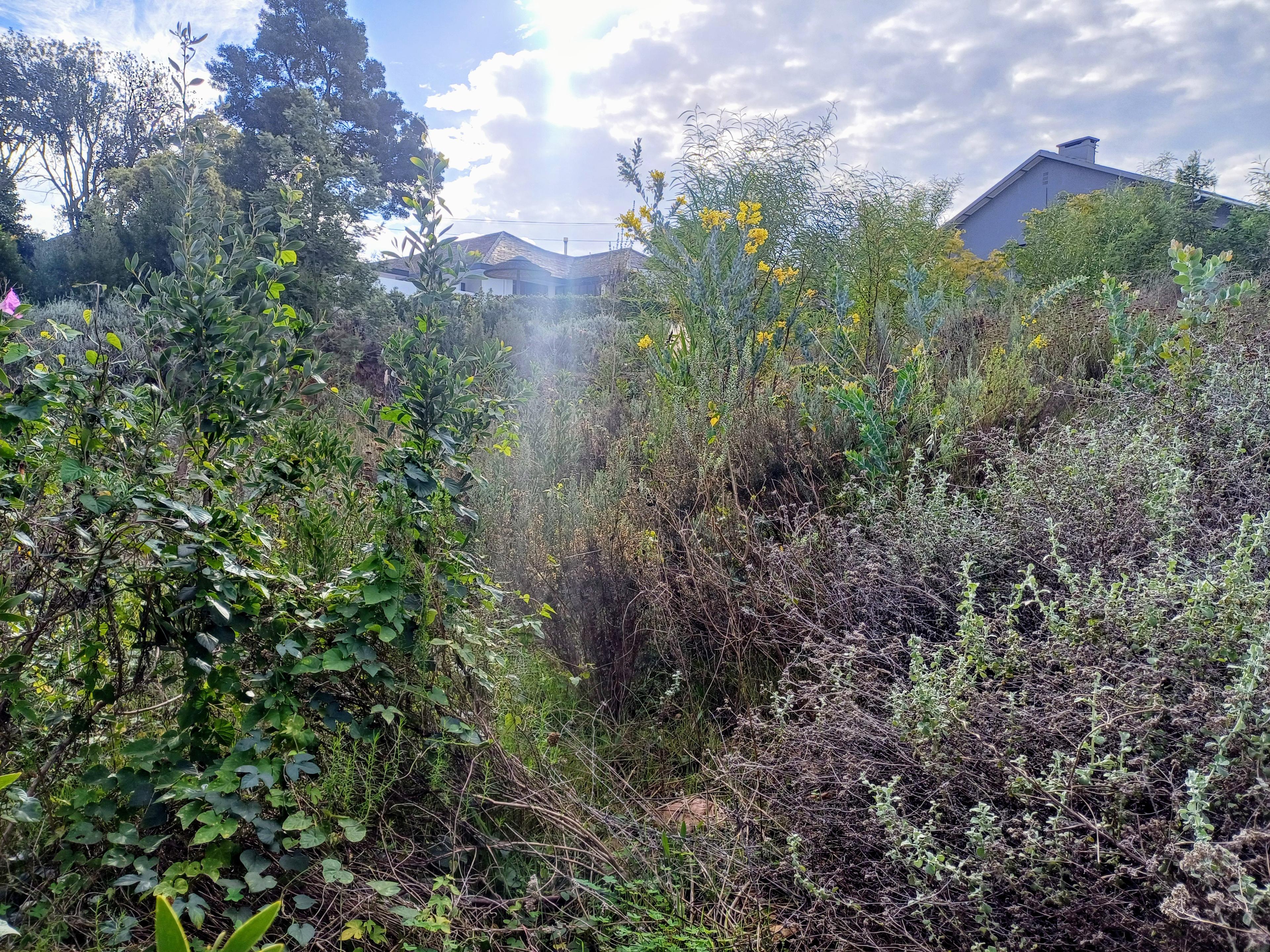 Image 4 of 6