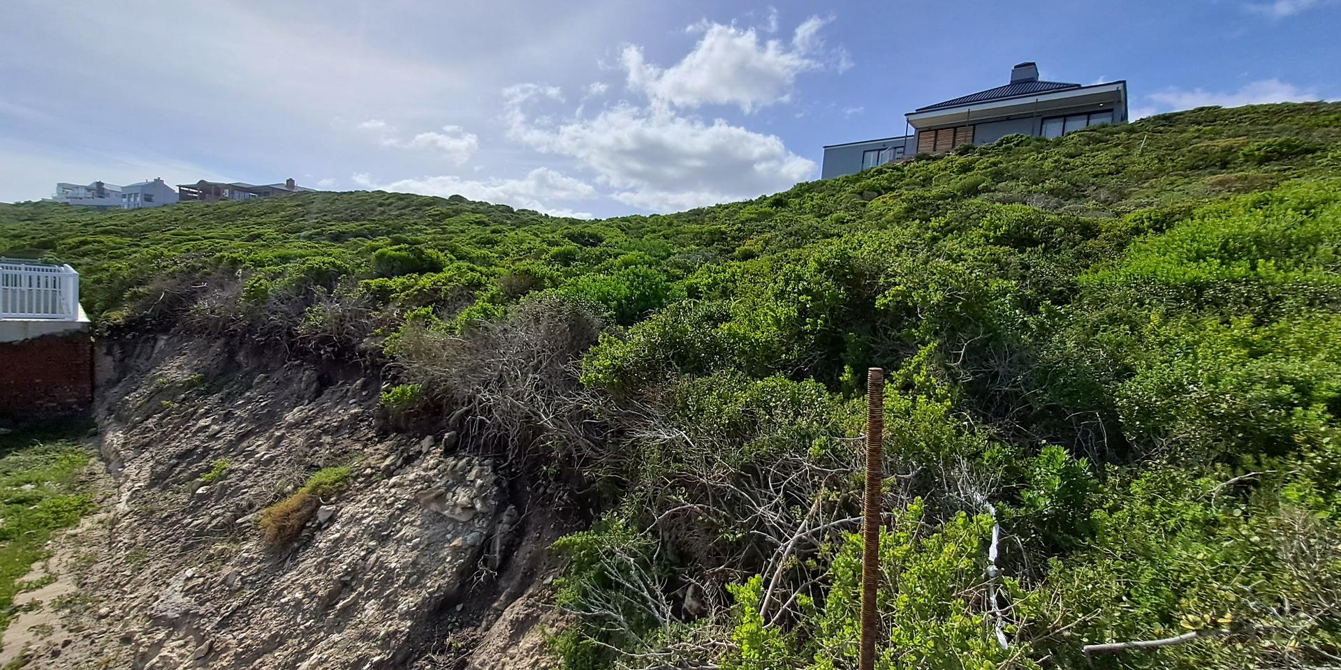 Image 3 of 6