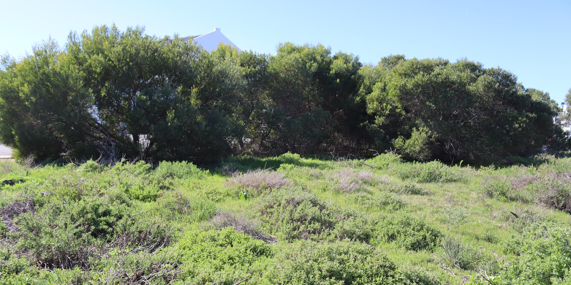 Image 5 of 6