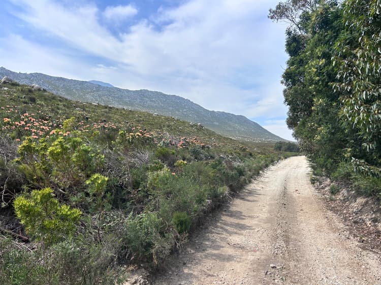 Main property image