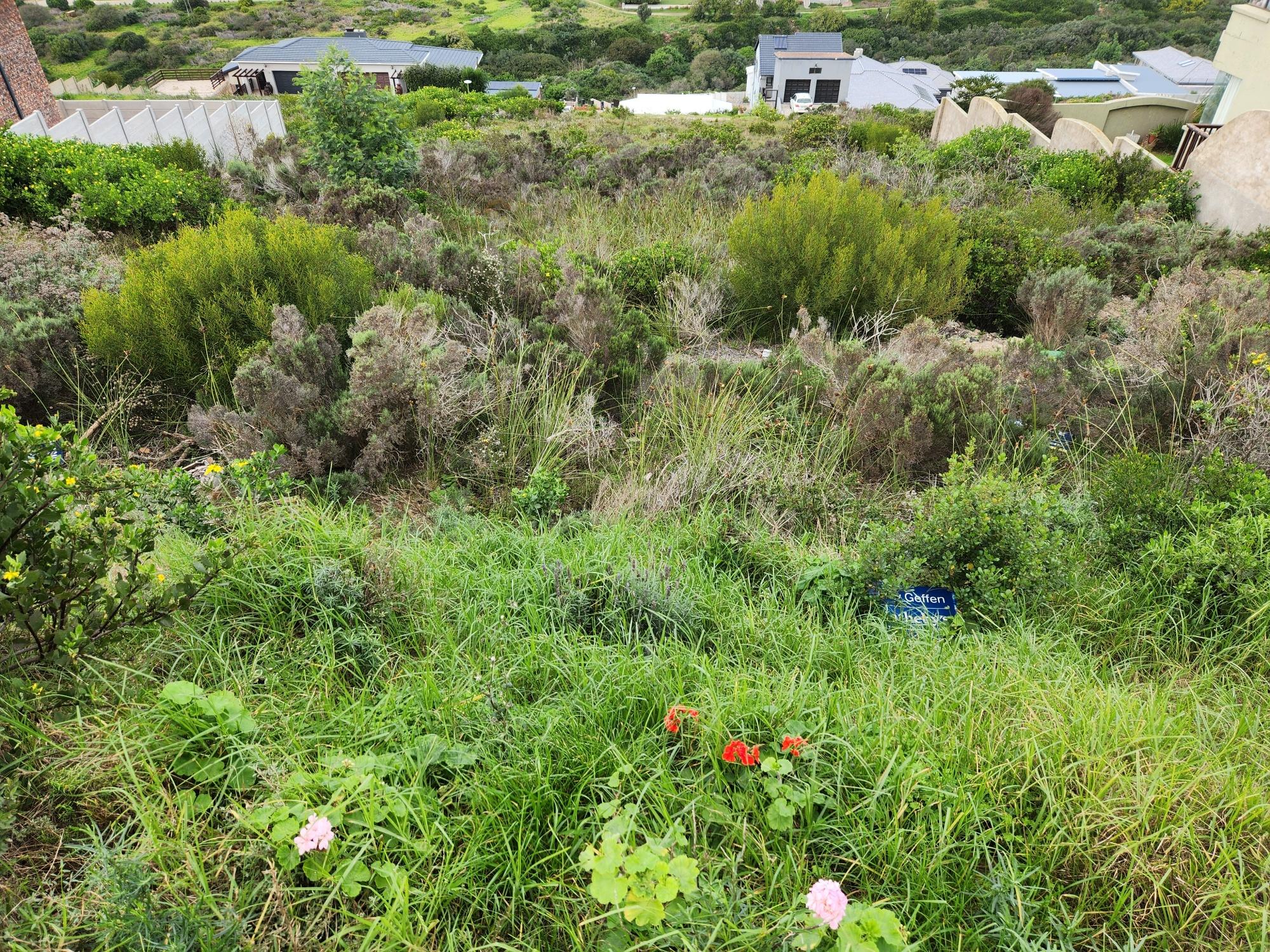 Image 4 of 6
